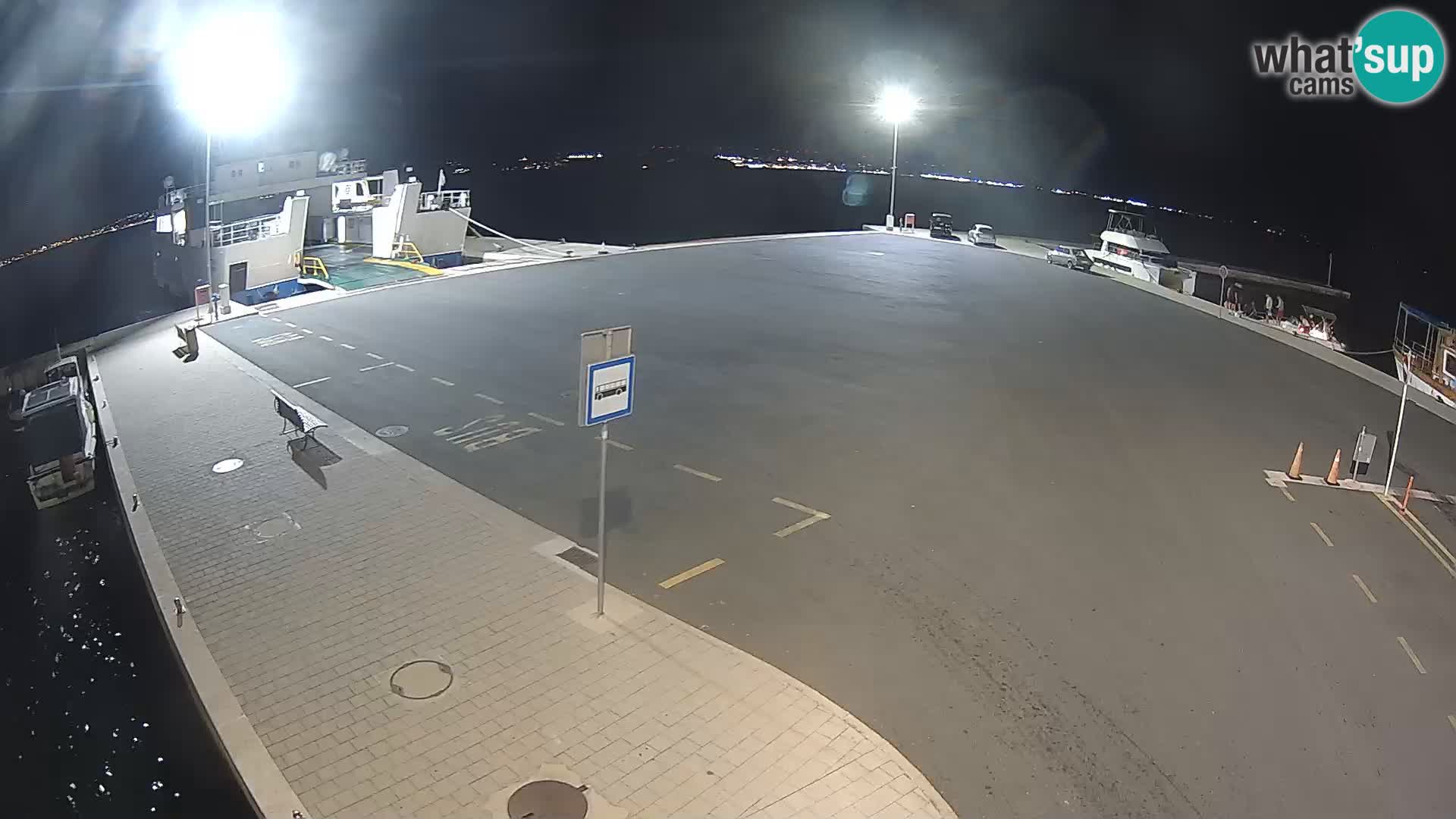 Tkon v živo – trajekt – Dalmacija – Hrvaška