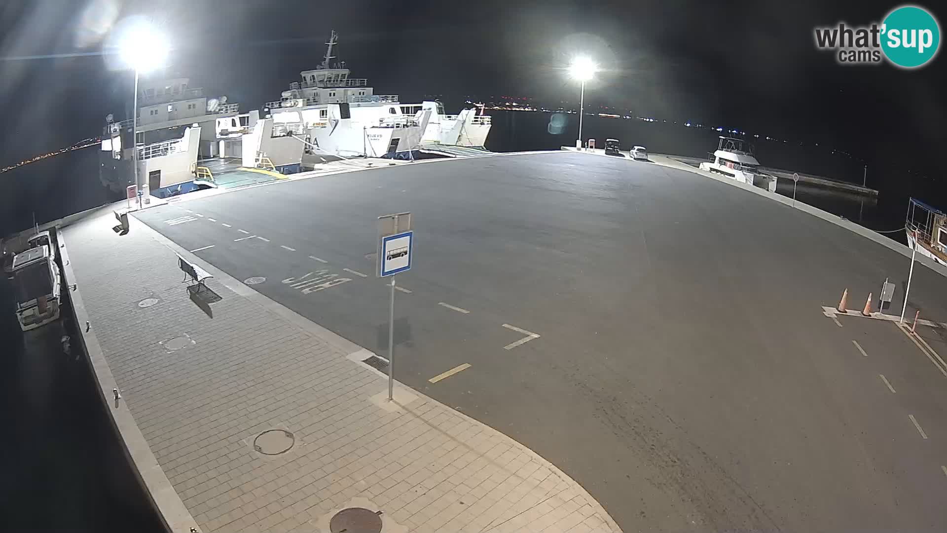 Tkon v živo – trajekt – Dalmacija – Hrvaška