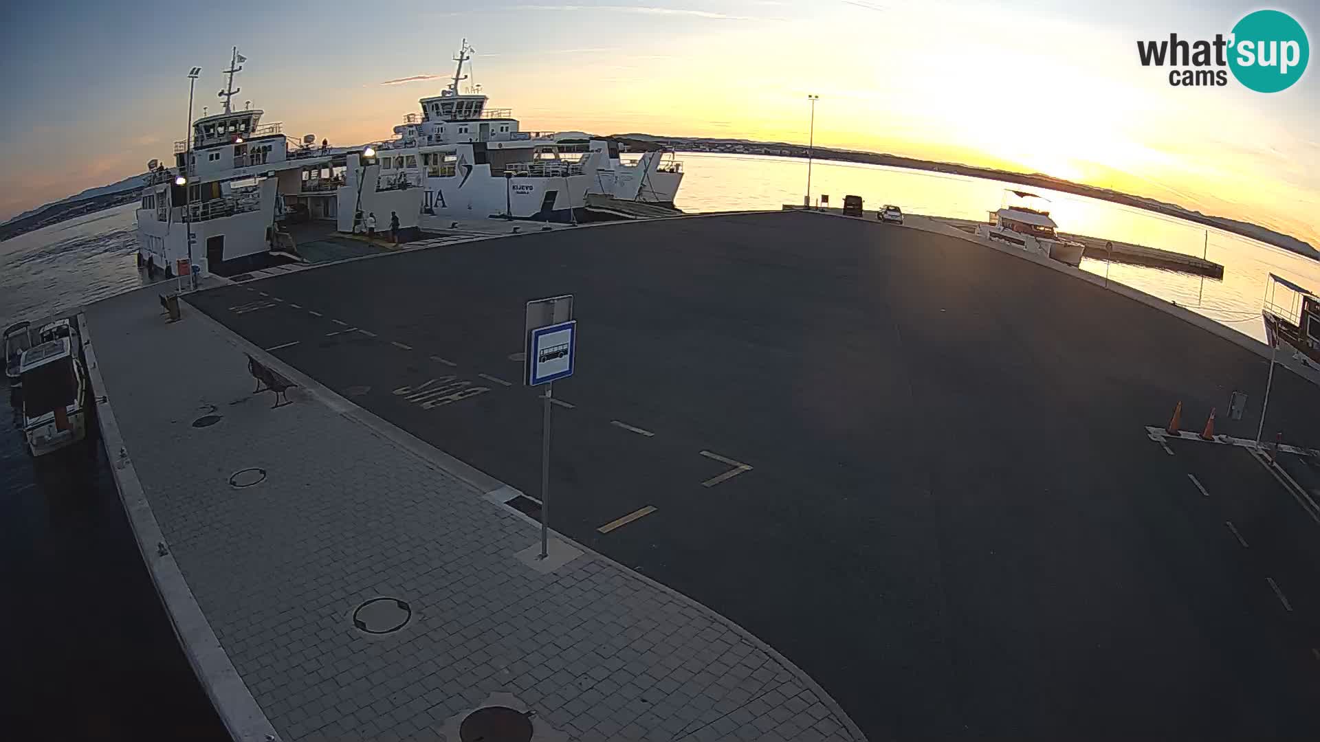 Tkon v živo – trajekt – Dalmacija – Hrvaška