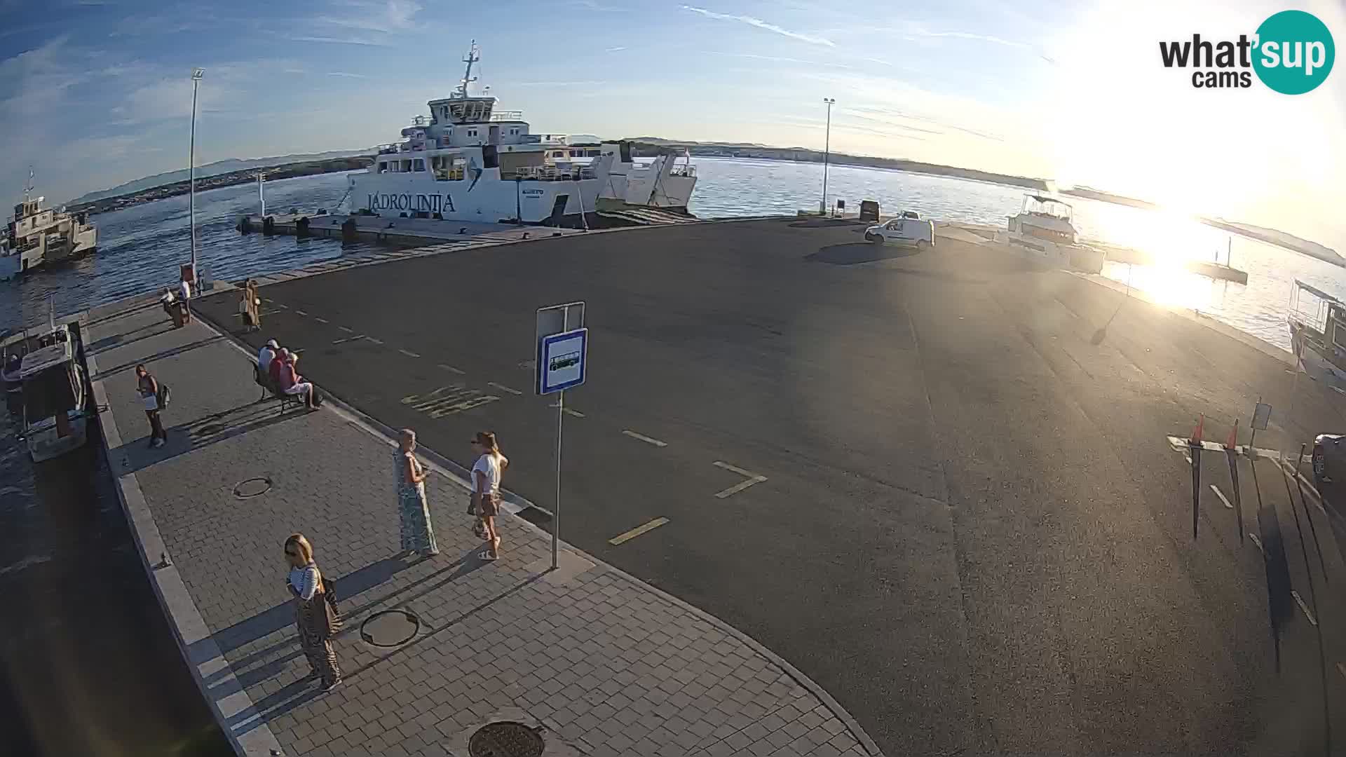 Tkon v živo – trajekt – Dalmacija – Hrvaška