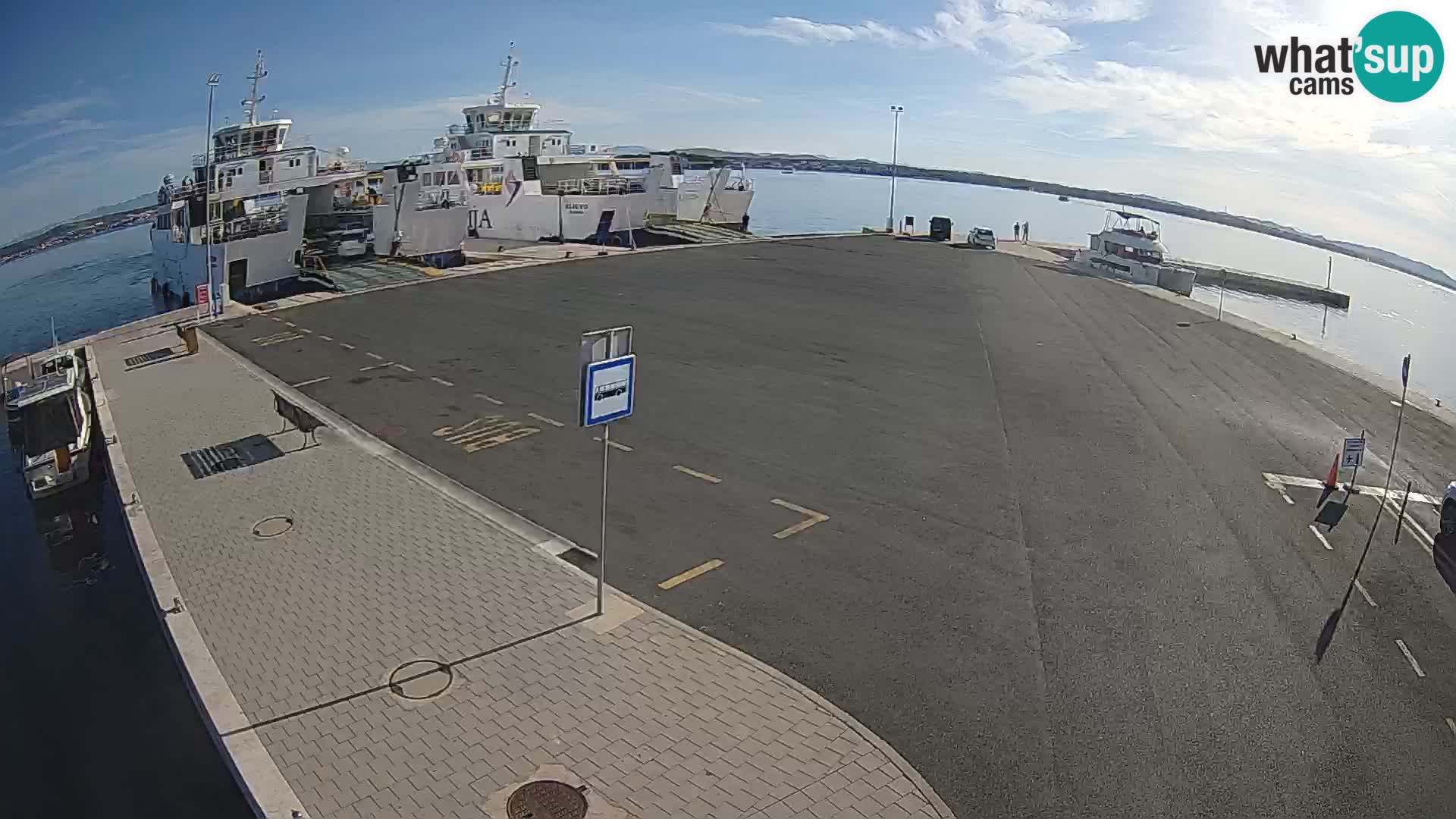 Tkon v živo – trajekt – Dalmacija – Hrvaška