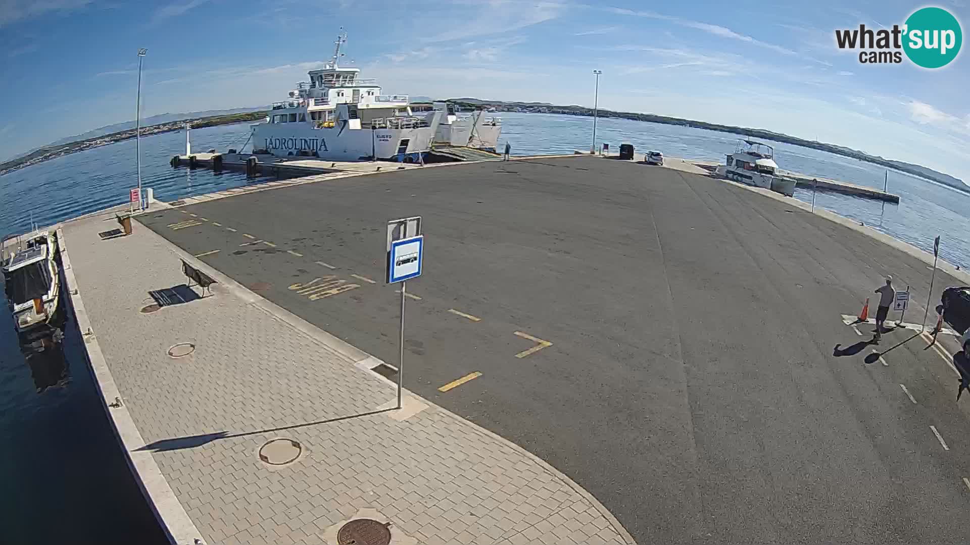 Tkon camera en vivo – Transportar – Dalmacia – Croacia