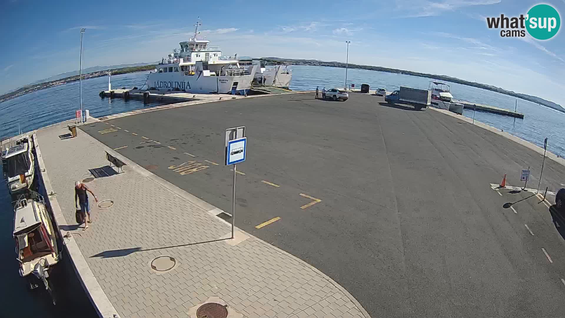 Tkon v živo – trajekt – Dalmacija – Hrvaška