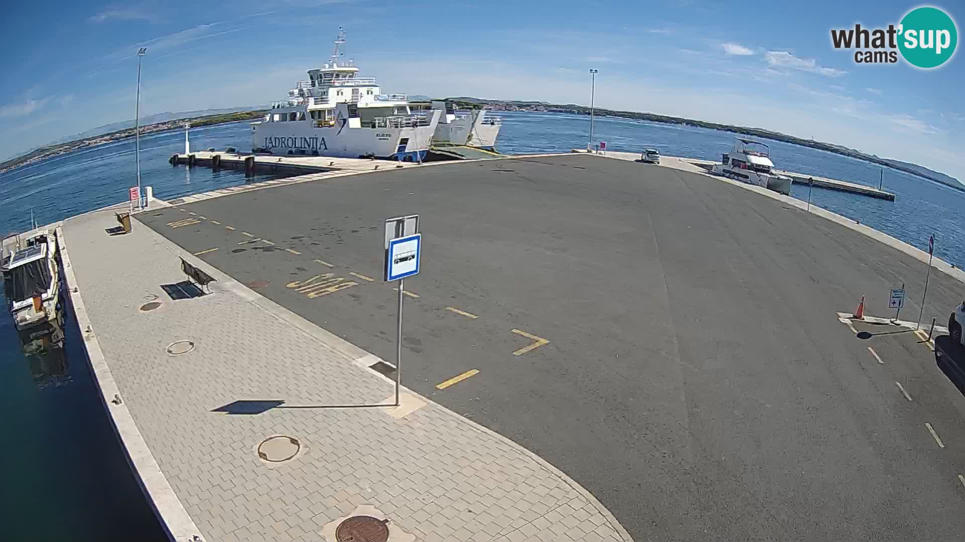 Tkon camera en vivo – Transportar – Dalmacia – Croacia