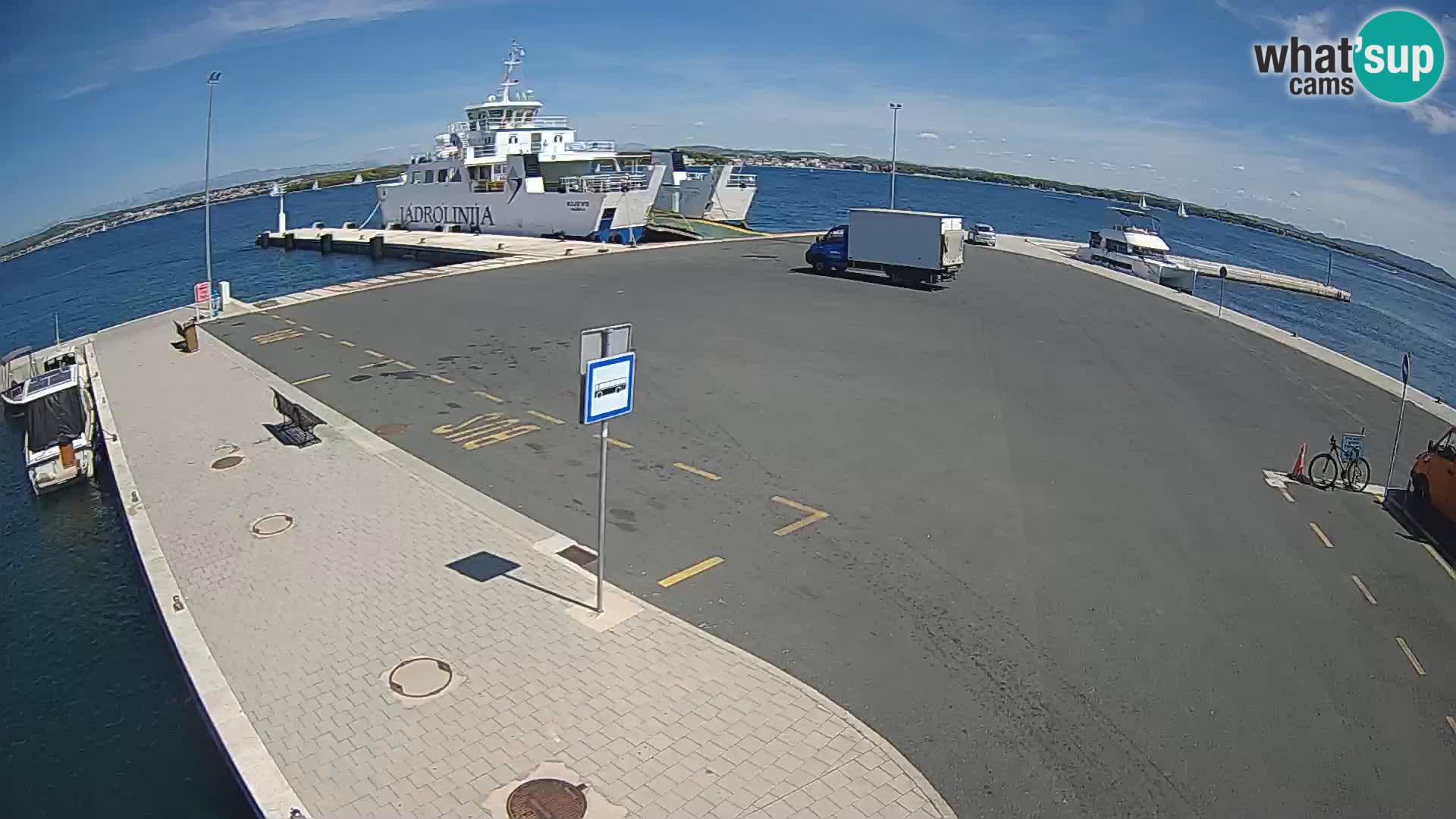 Tkon v živo – trajekt – Dalmacija – Hrvaška