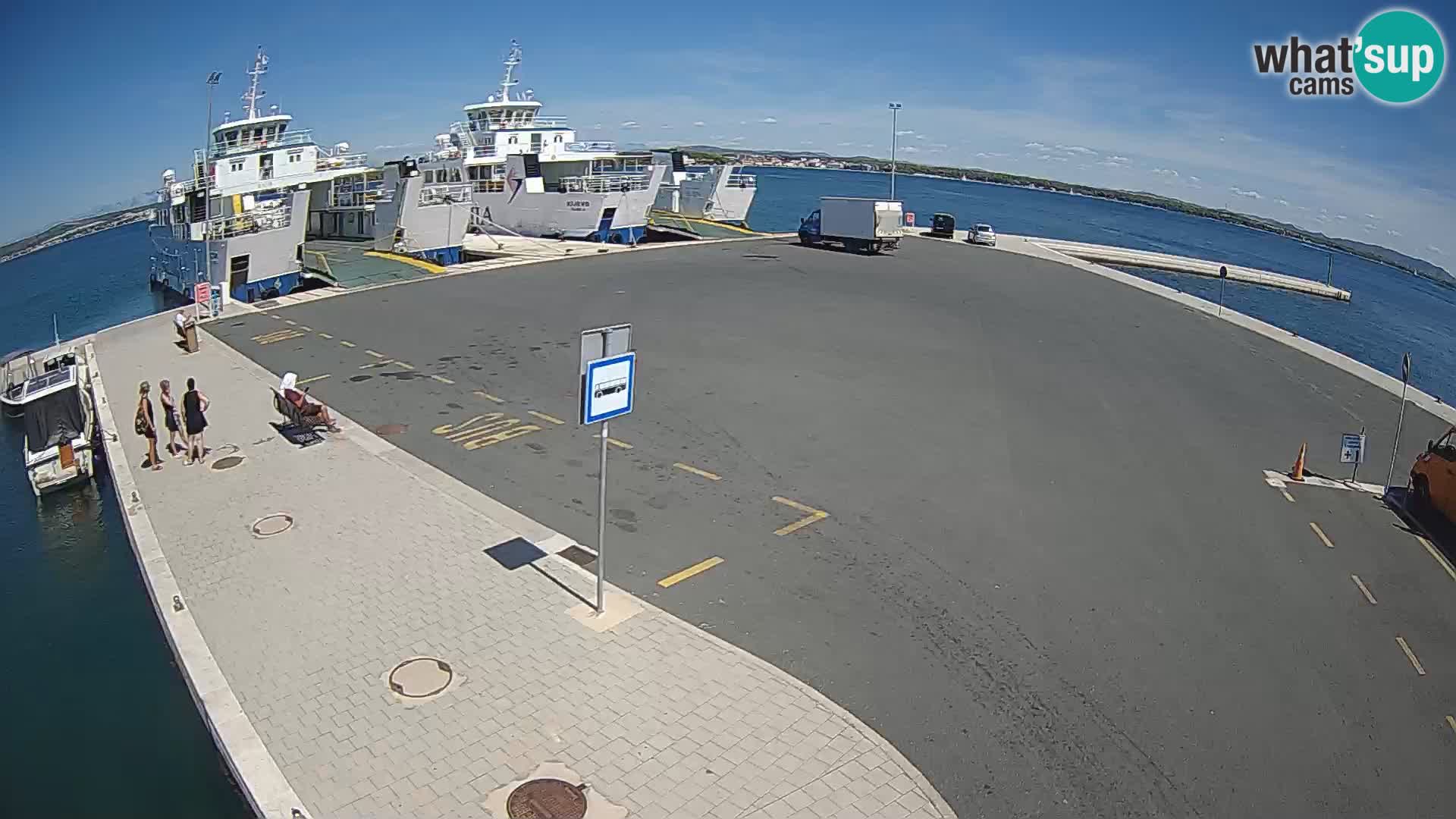 Tkon v živo – trajekt – Dalmacija – Hrvaška