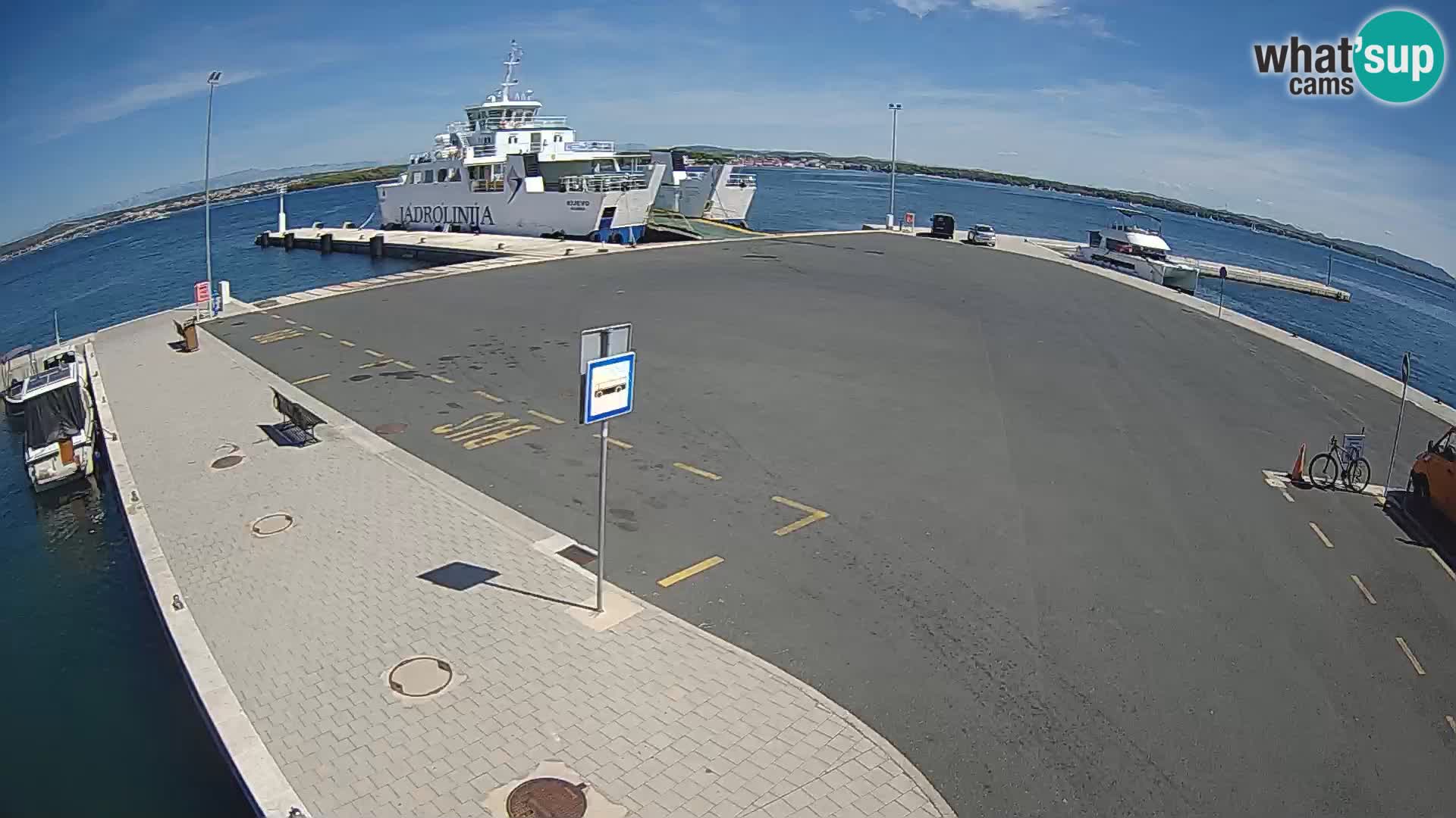 Tkon v živo – trajekt – Dalmacija – Hrvaška