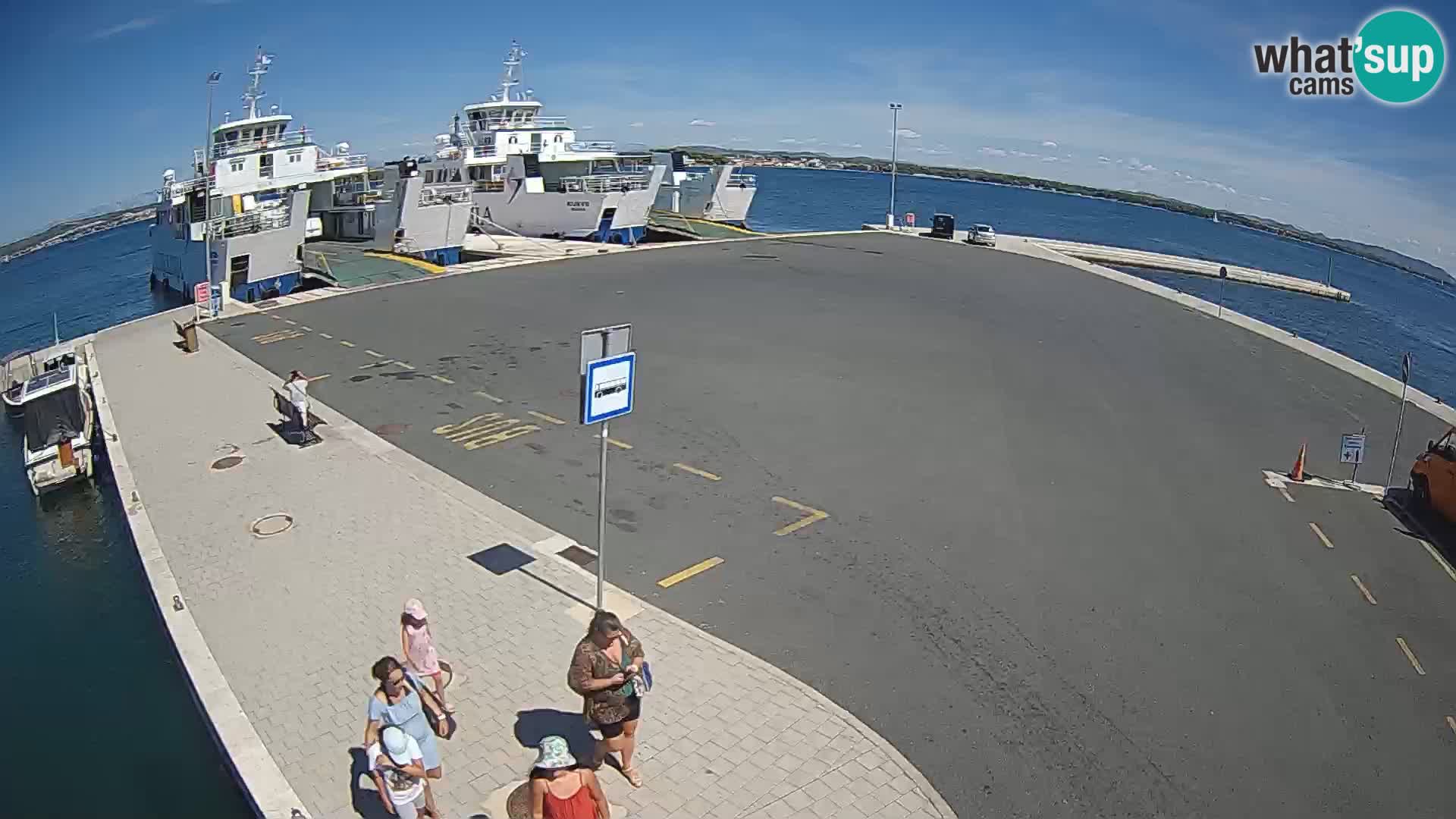 Tkon u živo – trajekt – Dalmacija
