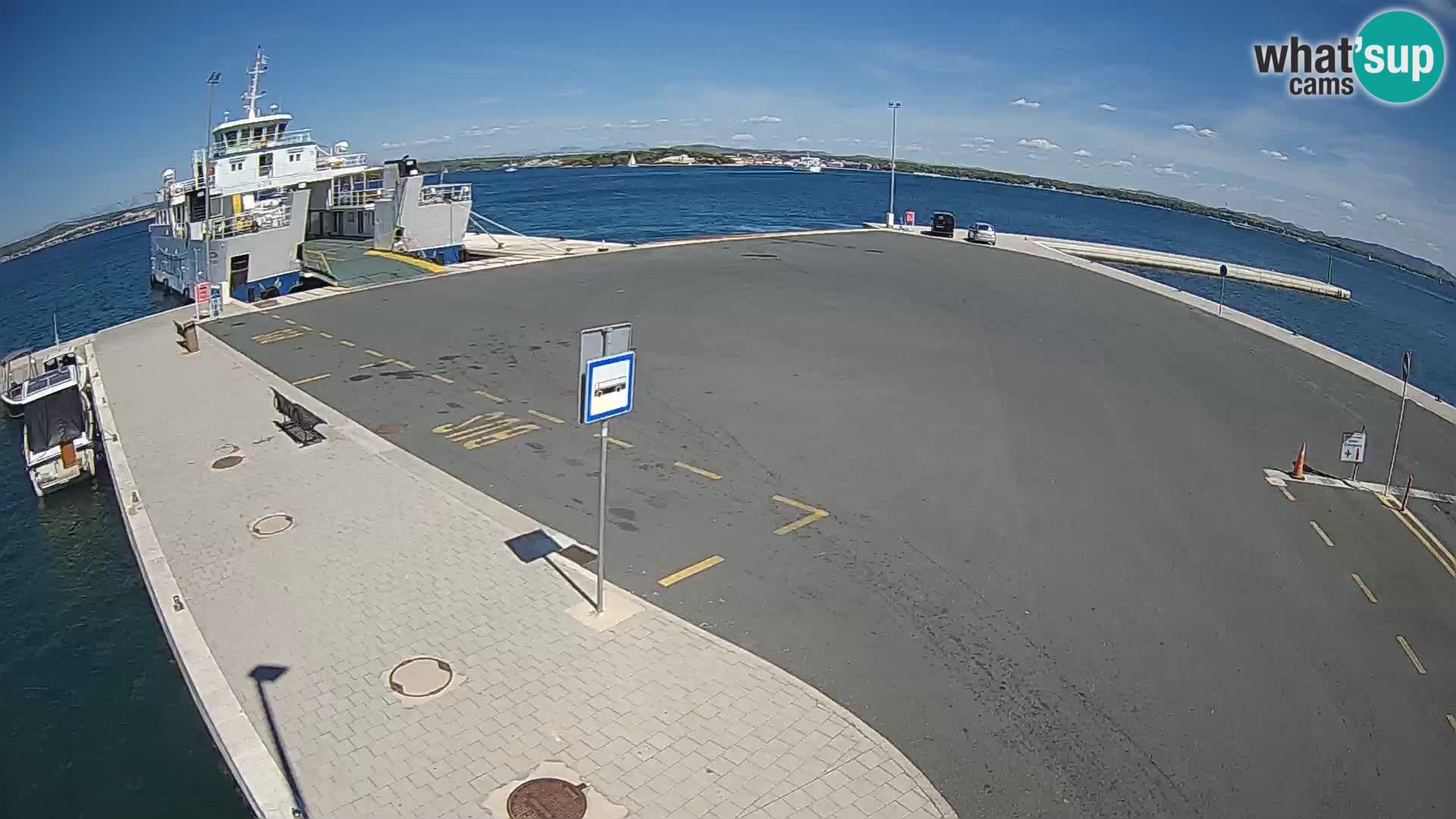 Tkon v živo – trajekt – Dalmacija – Hrvaška