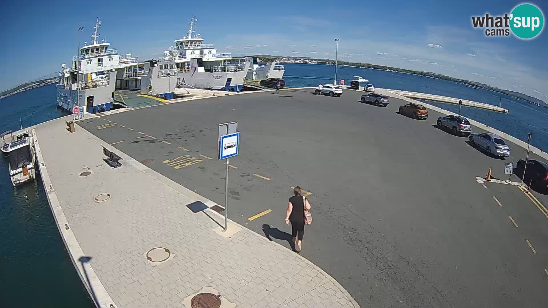 Tkon v živo – trajekt – Dalmacija – Hrvaška