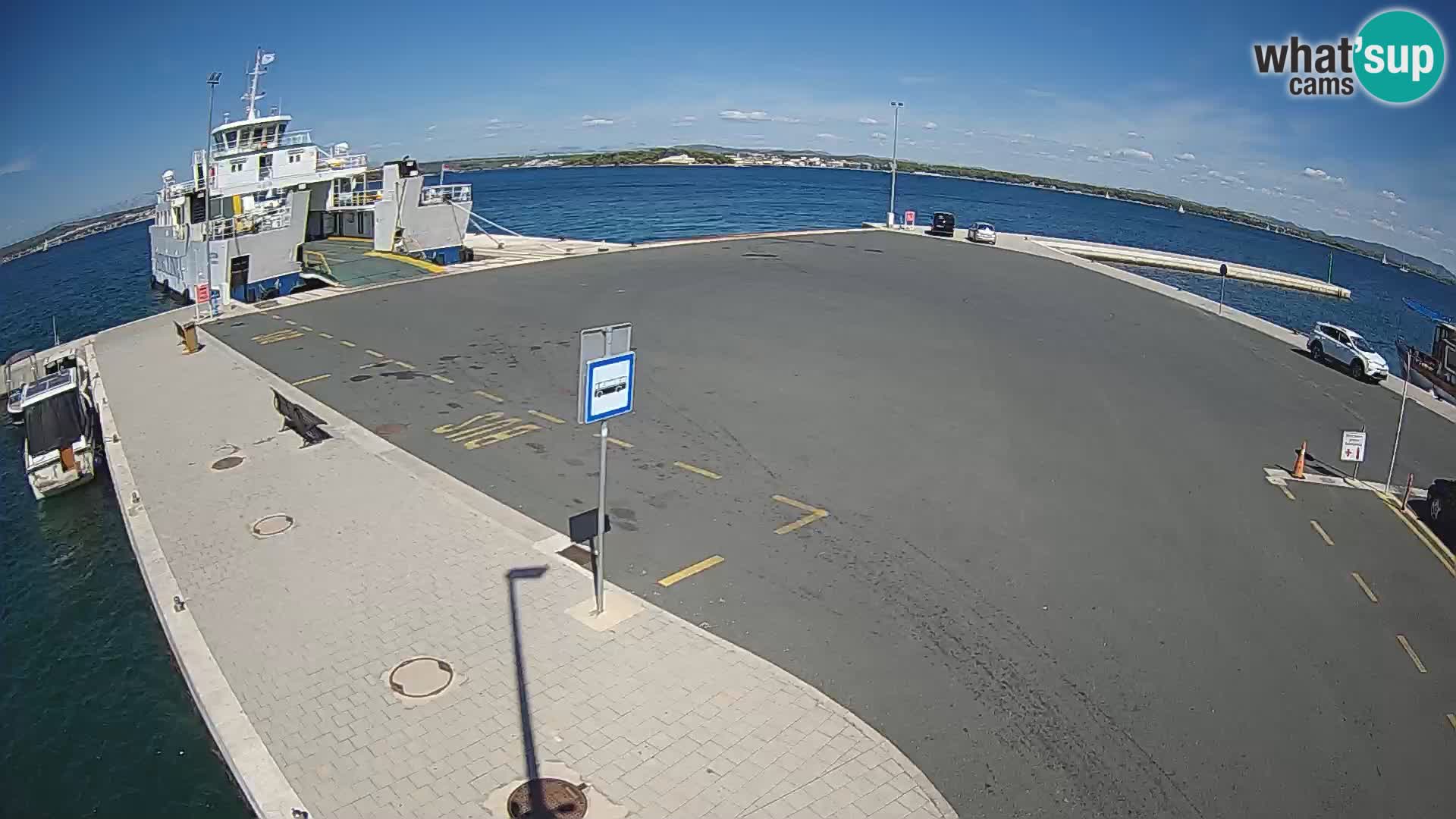 Tkon v živo – trajekt – Dalmacija – Hrvaška