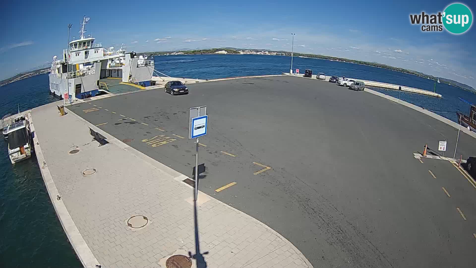 Tkon v živo – trajekt – Dalmacija – Hrvaška