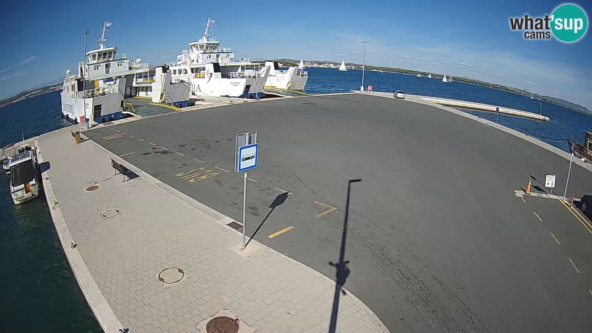 Tkon u živo – trajekt – Dalmacija