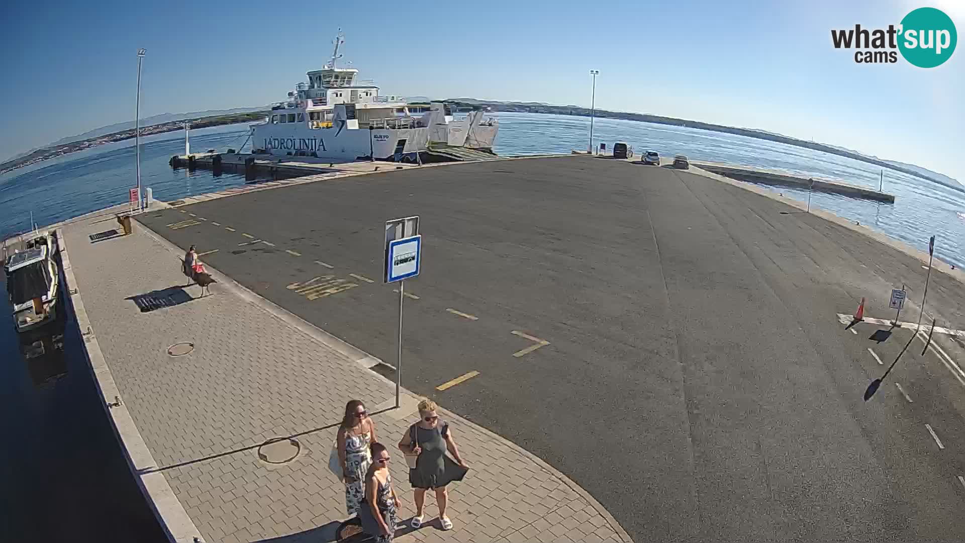 Tkon u živo – trajekt – Dalmacija