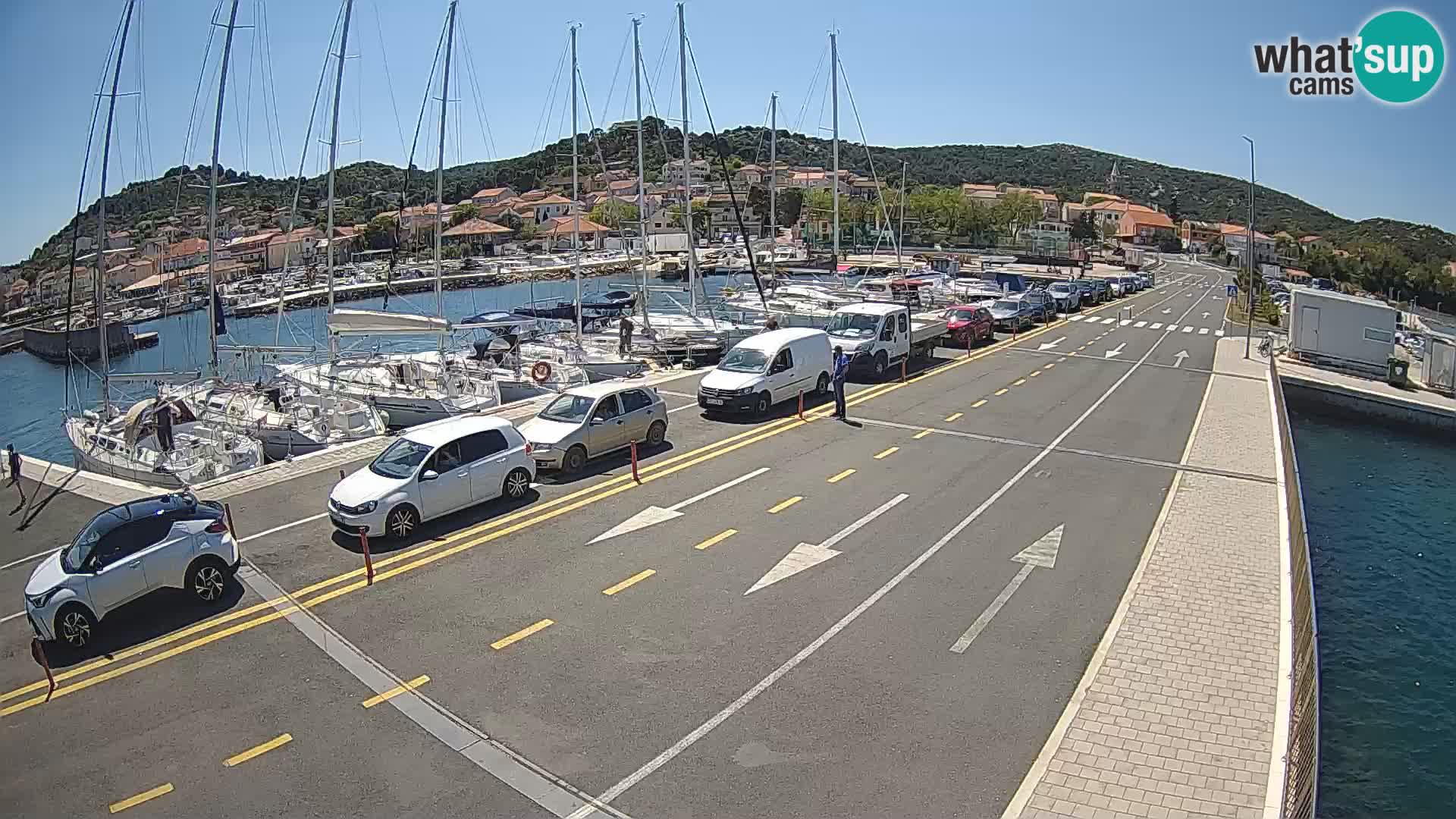 Dalmazia traghetto Tkon – webcam Croazia