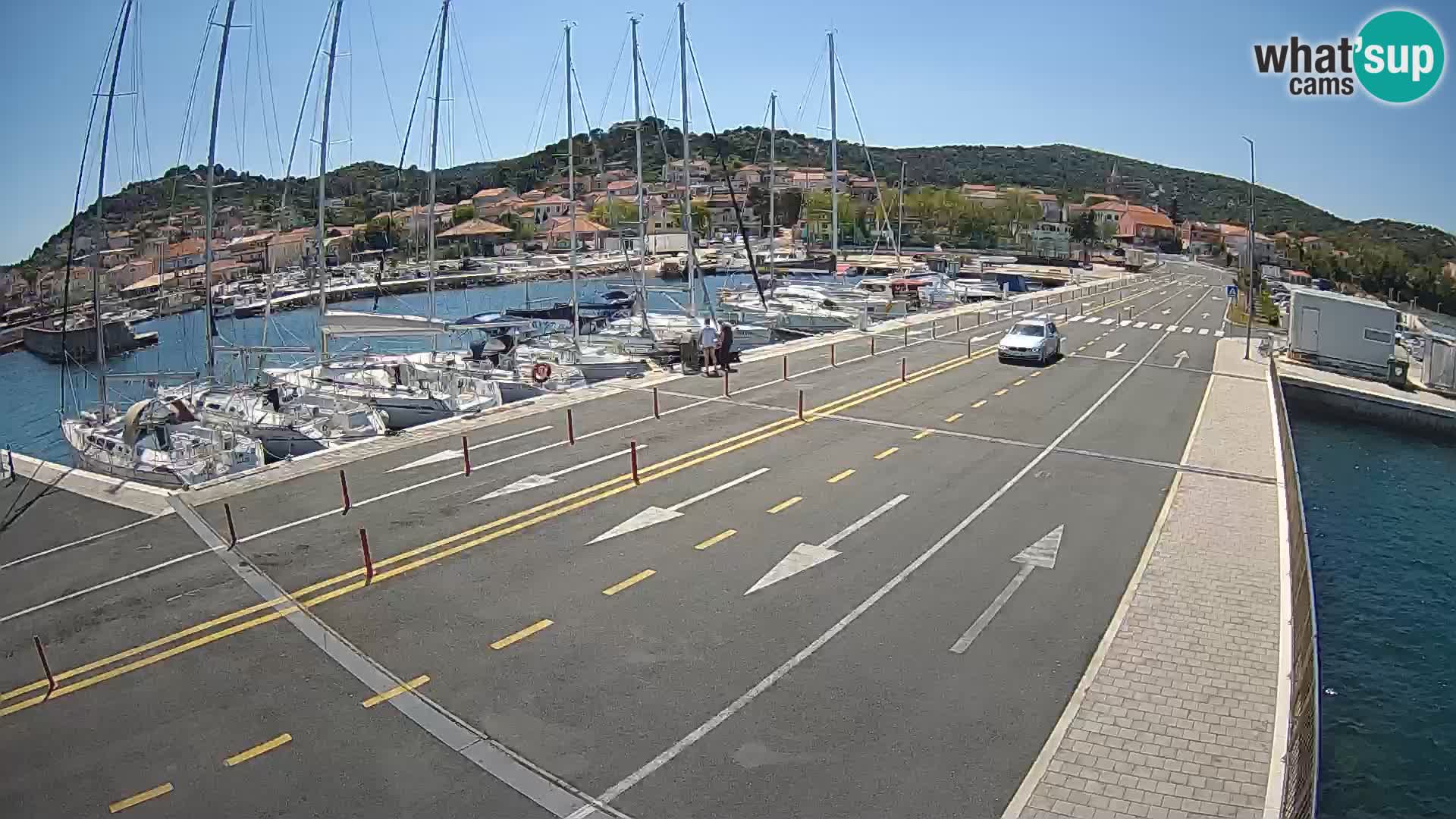 Dalmazia traghetto Tkon – webcam Croazia