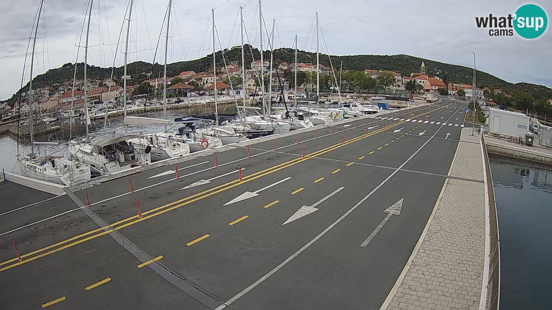 Dalmazia traghetto Tkon – webcam Croazia
