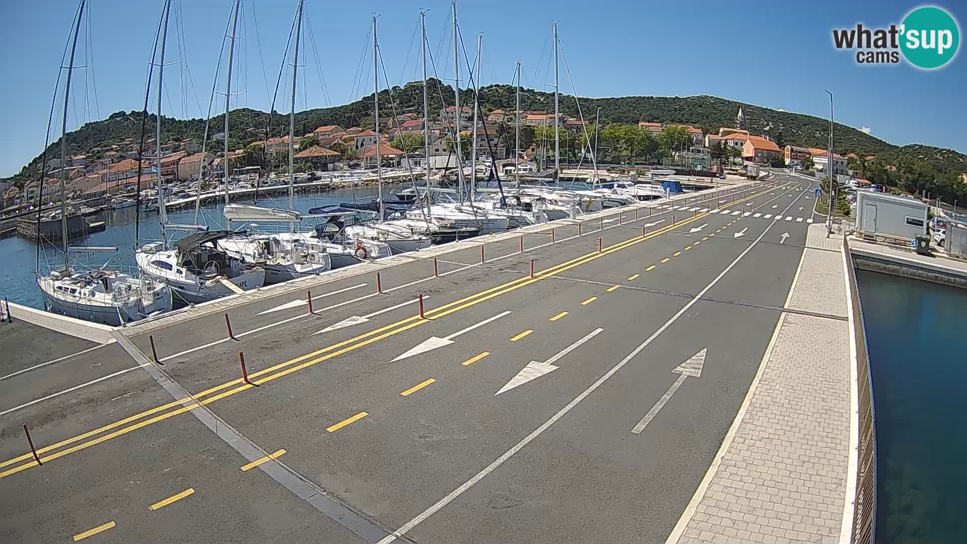 Dalmazia traghetto Tkon – webcam Croazia