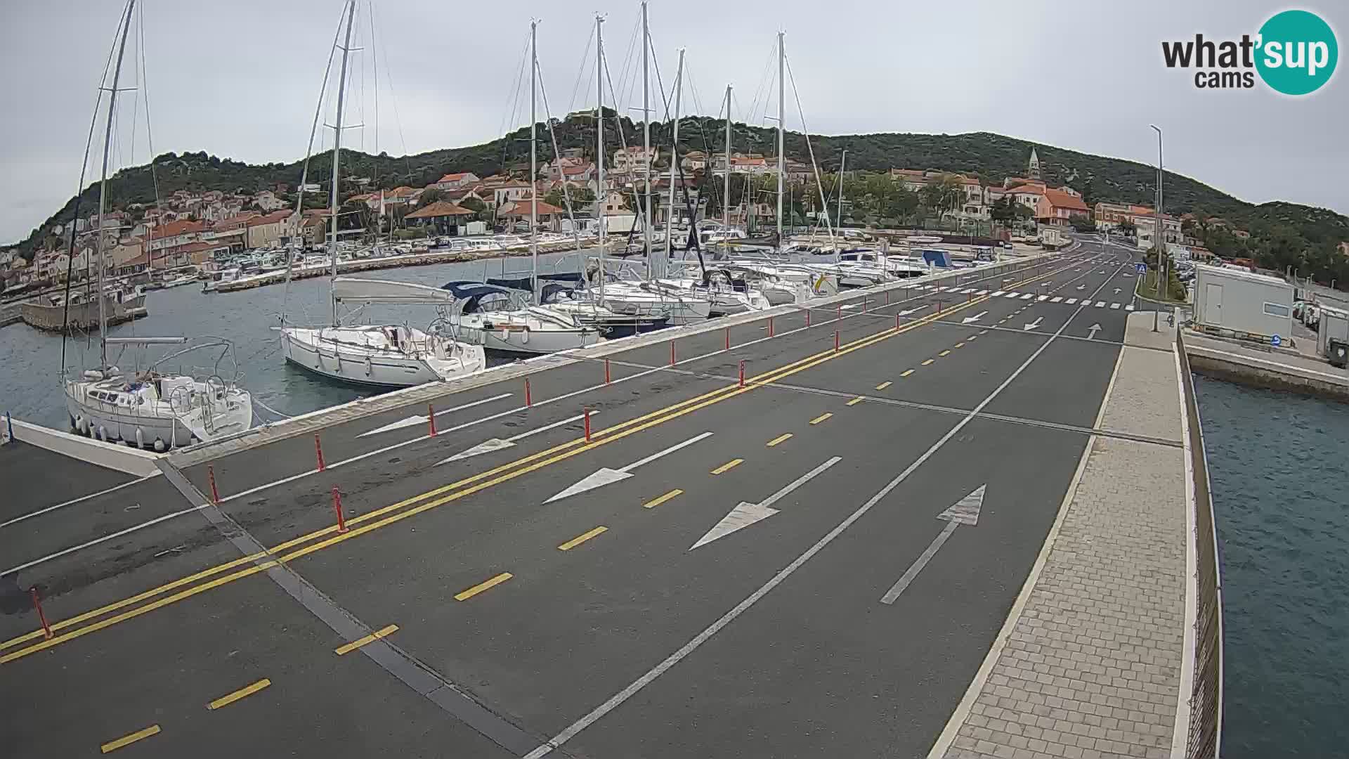 Dalmazia traghetto Tkon – webcam Croazia