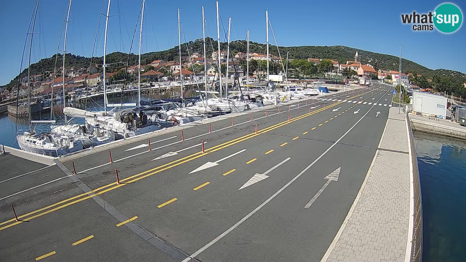 Dalmazia traghetto Tkon – webcam Croazia