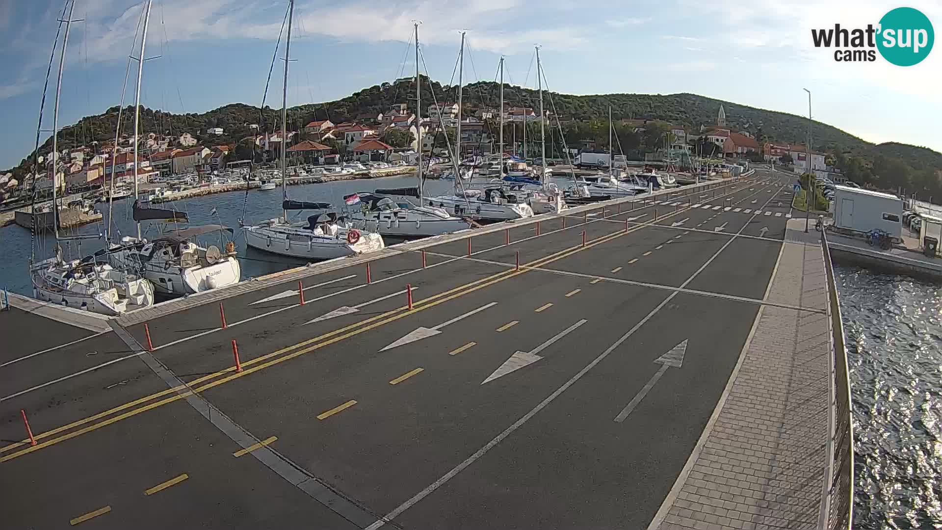 Dalmazia traghetto Tkon – webcam Croazia