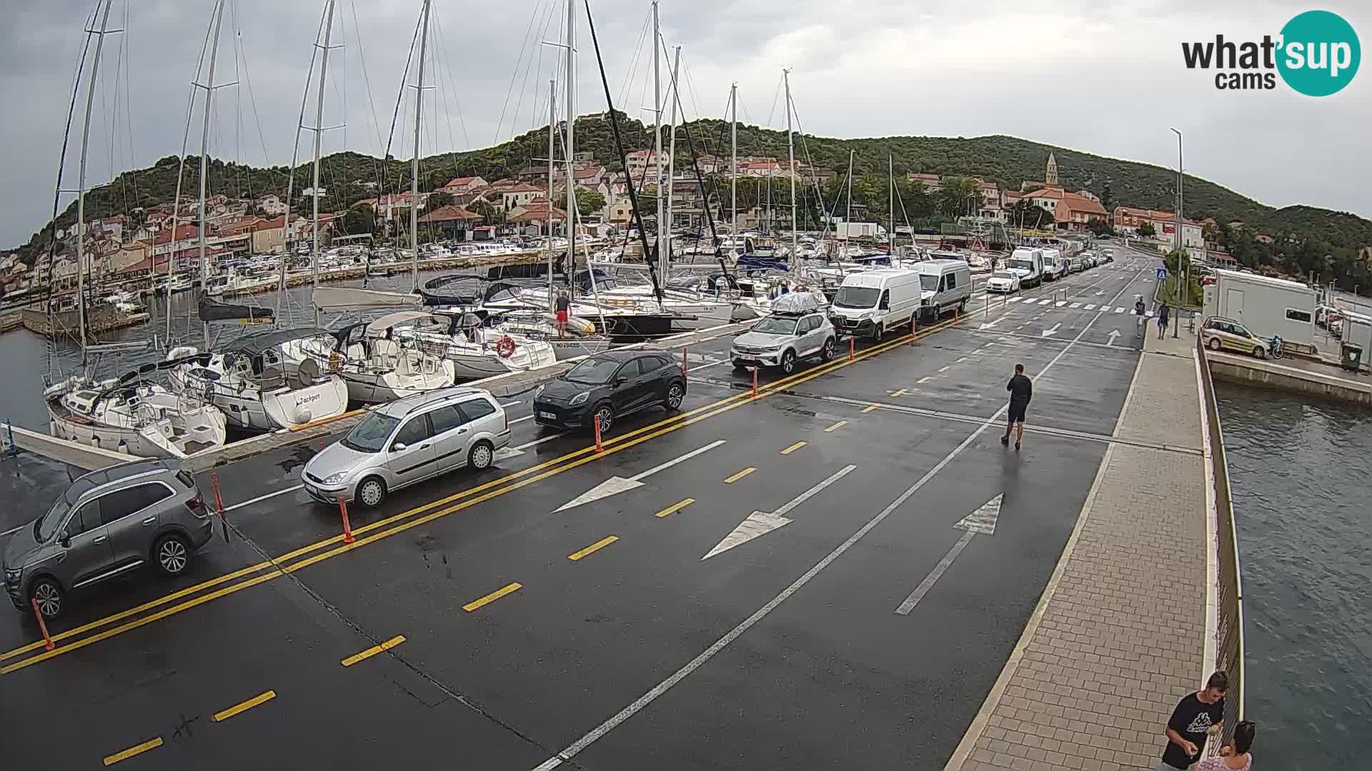 Dalmazia traghetto Tkon – webcam Croazia