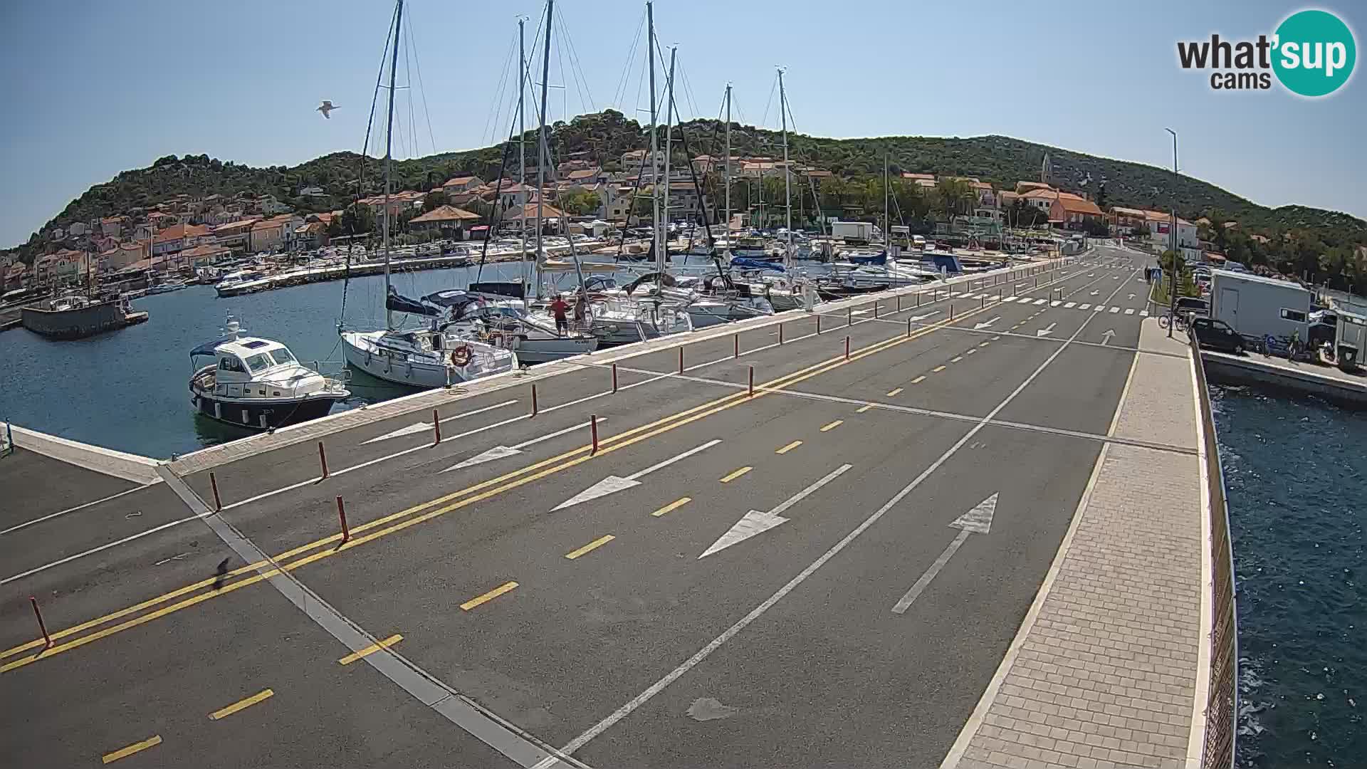 Dalmazia traghetto Tkon – webcam Croazia