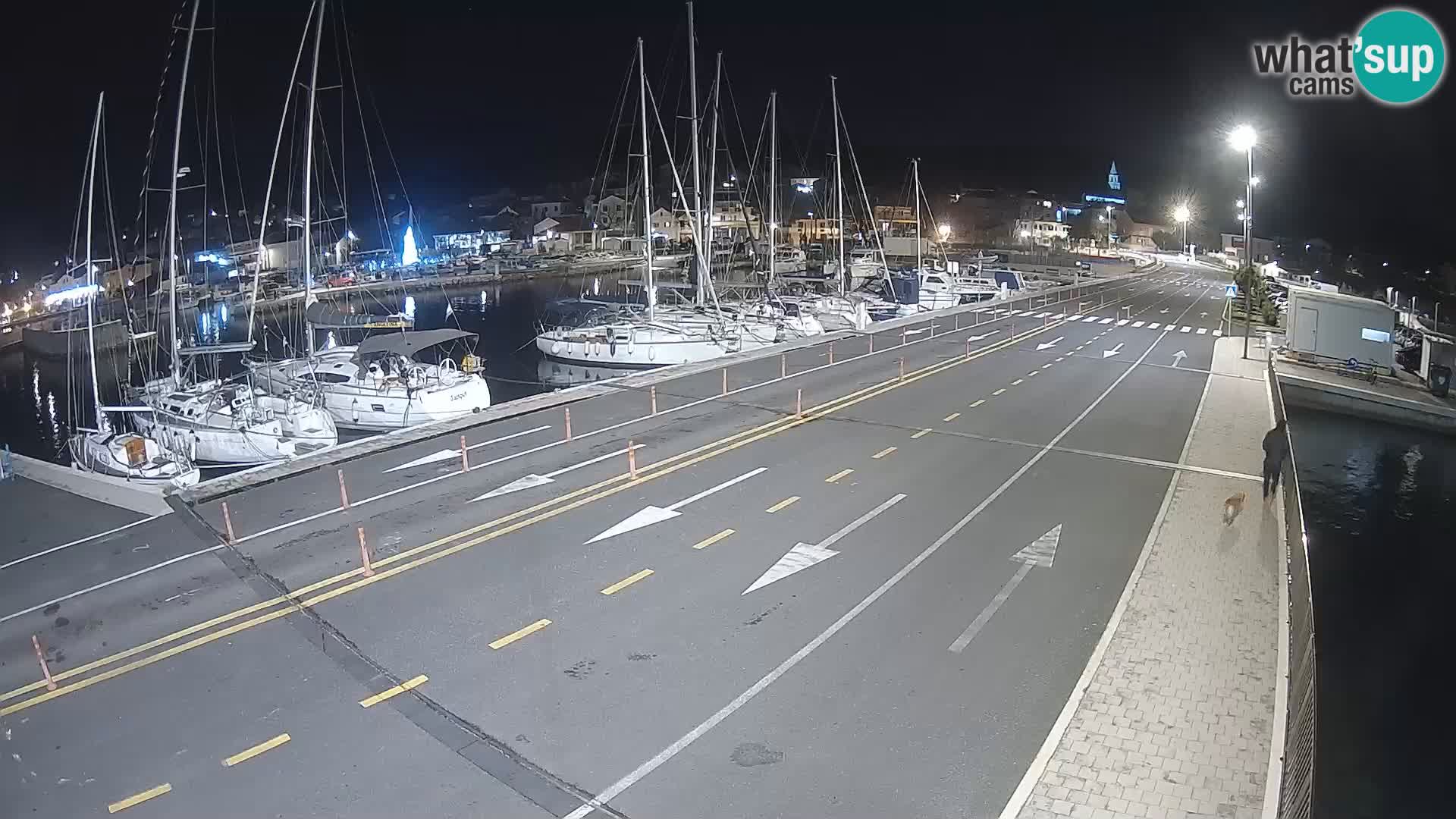 Dalmazia traghetto Tkon – webcam Croazia