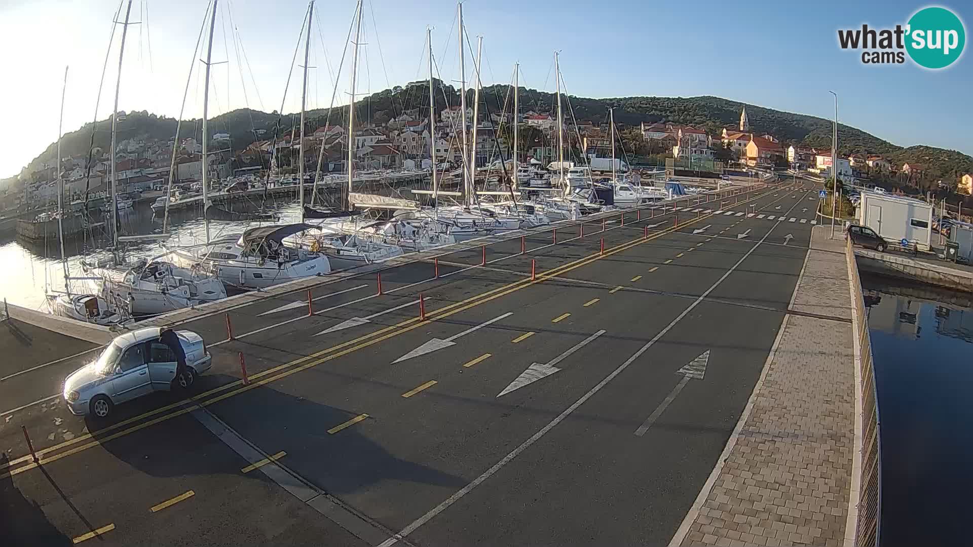 Dalmazia traghetto Tkon – webcam Croazia