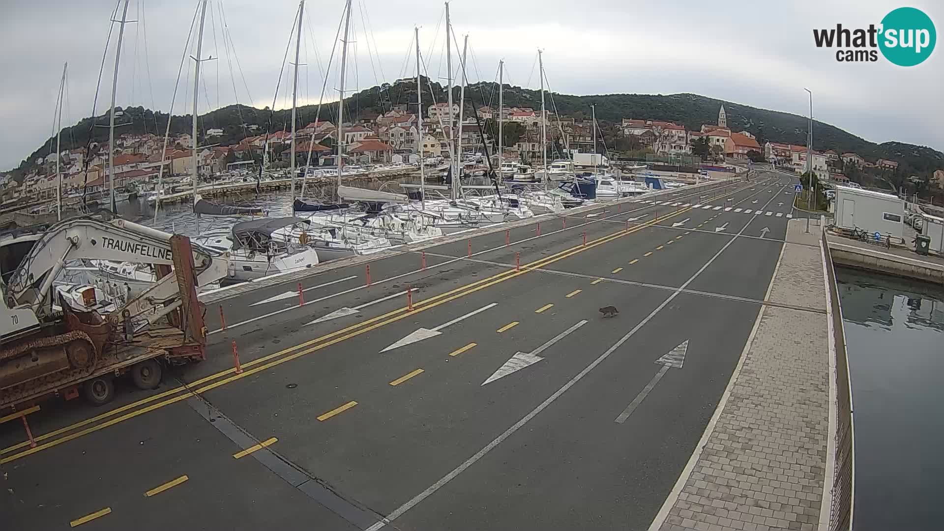 Dalmatia Tkon Ferry – webcams Croatia