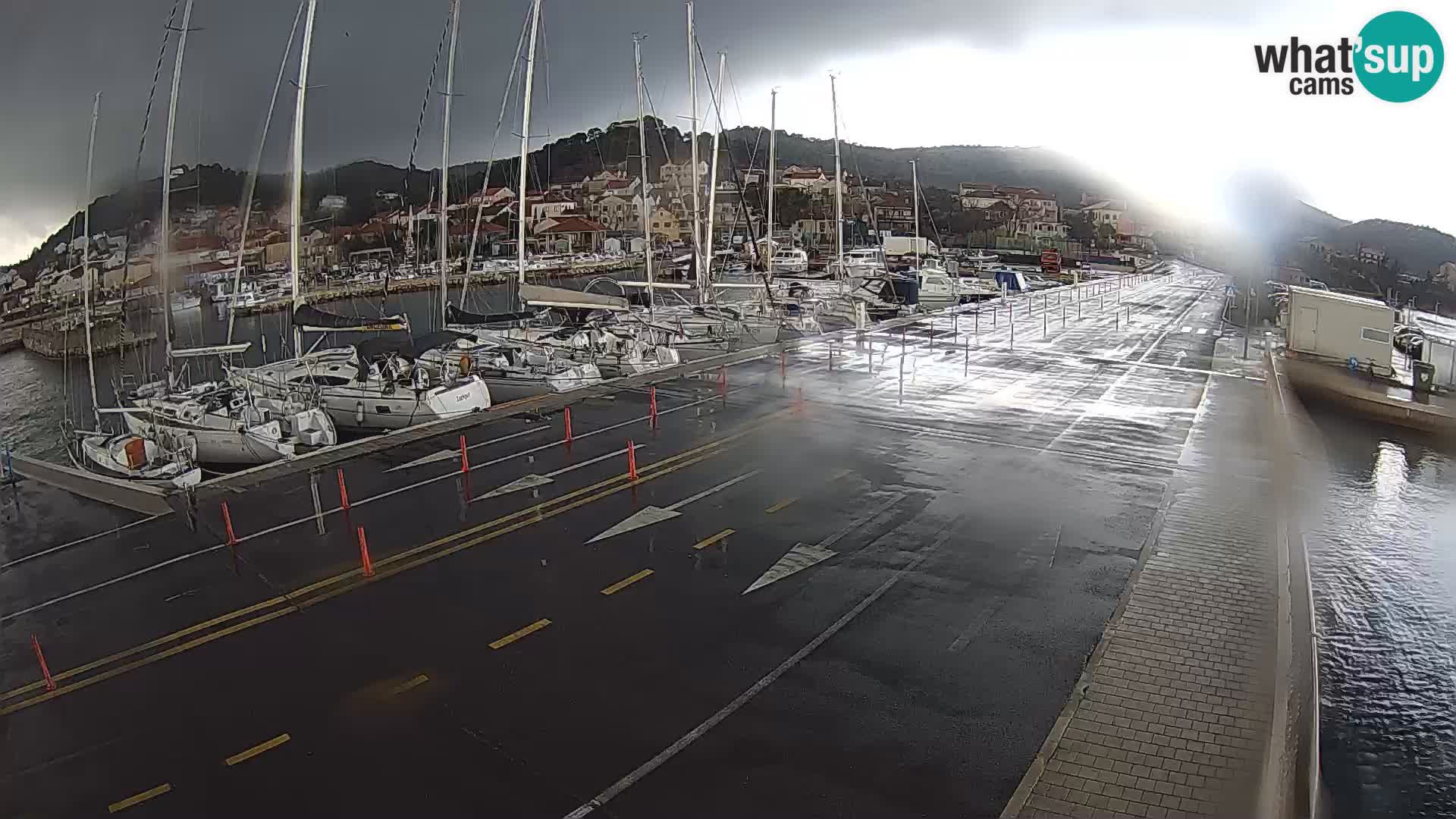 Dalmazia traghetto Tkon – webcam Croazia