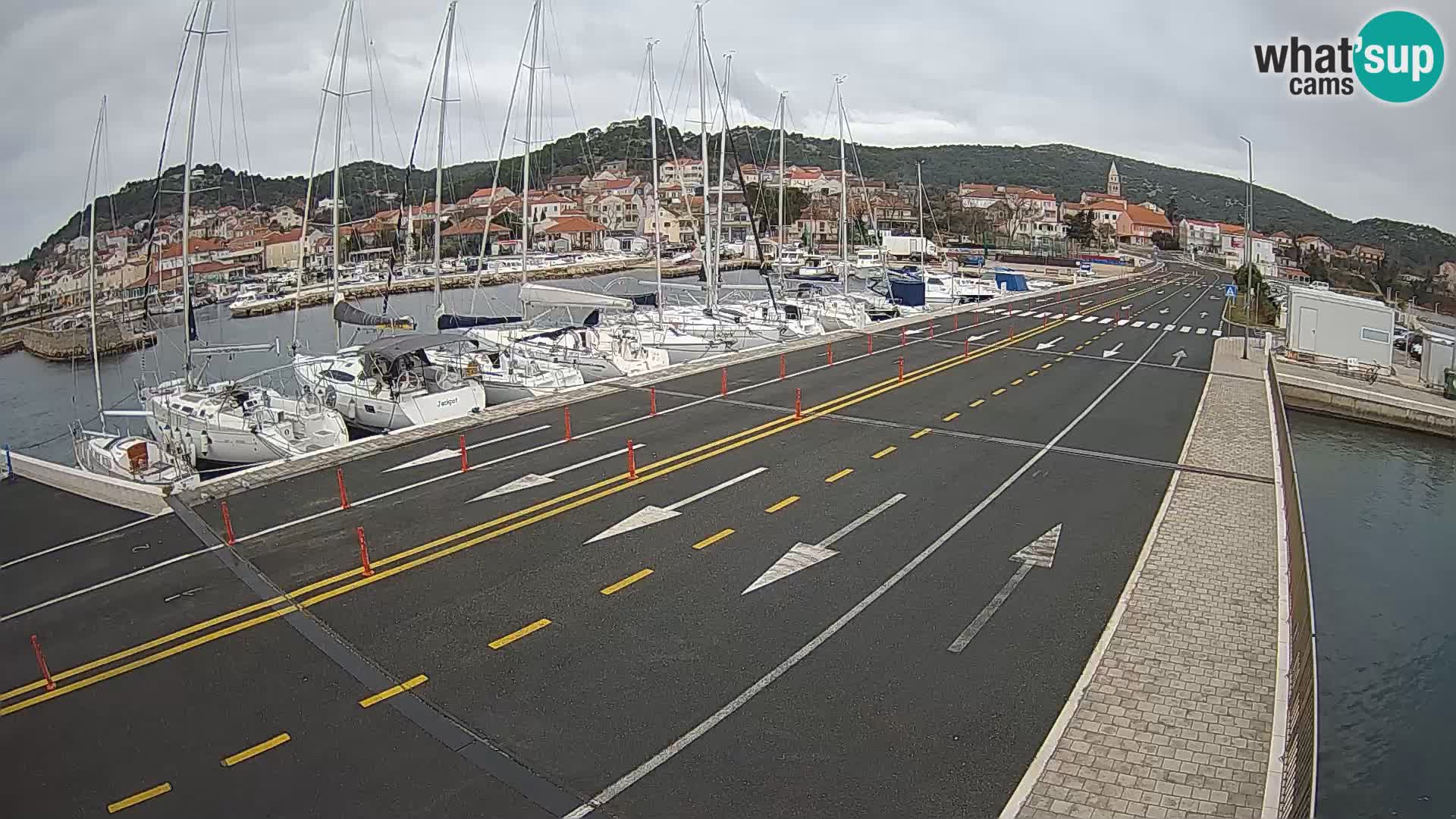 Dalmazia traghetto Tkon – webcam Croazia