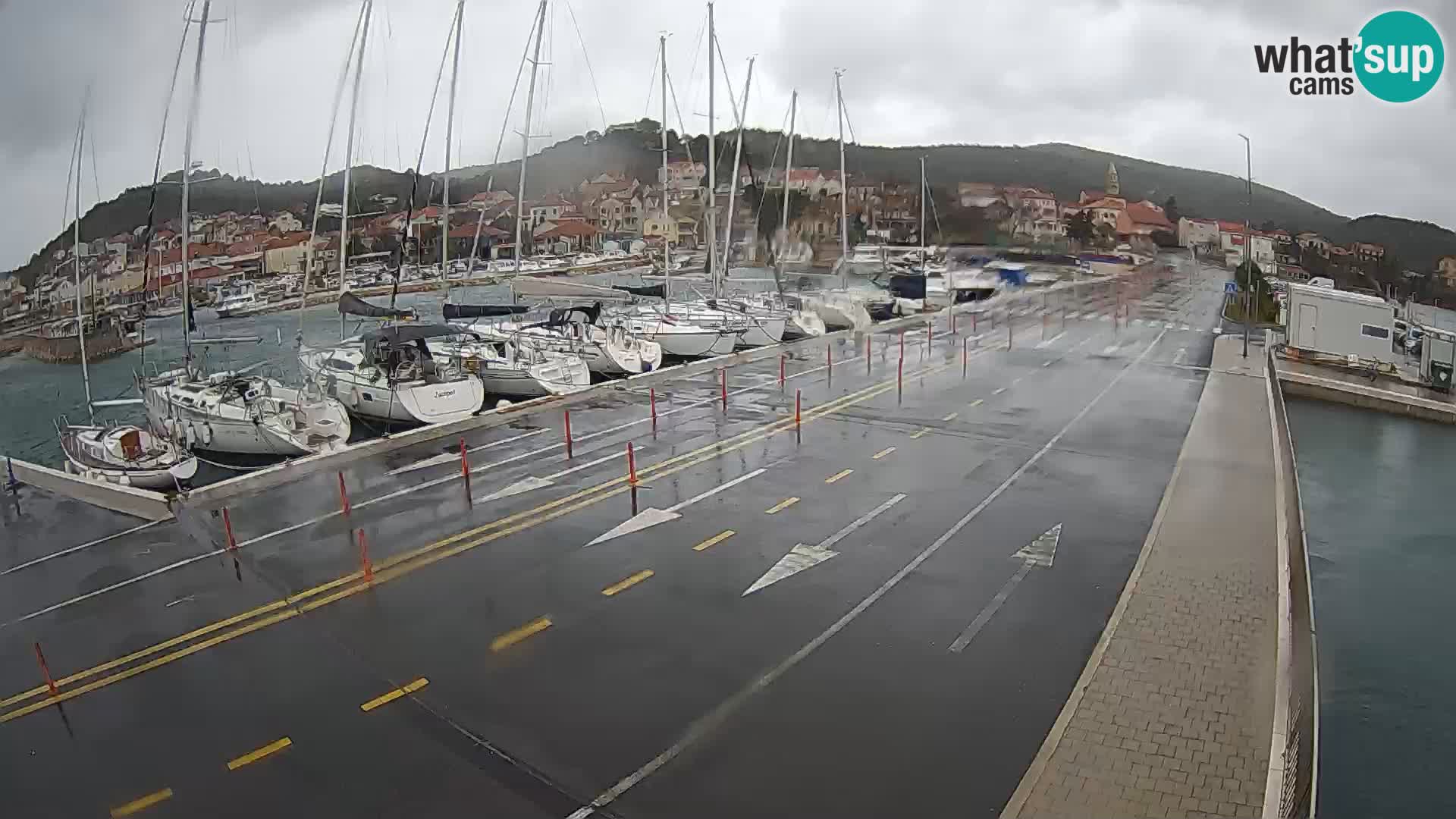 Dalmazia traghetto Tkon – webcam Croazia