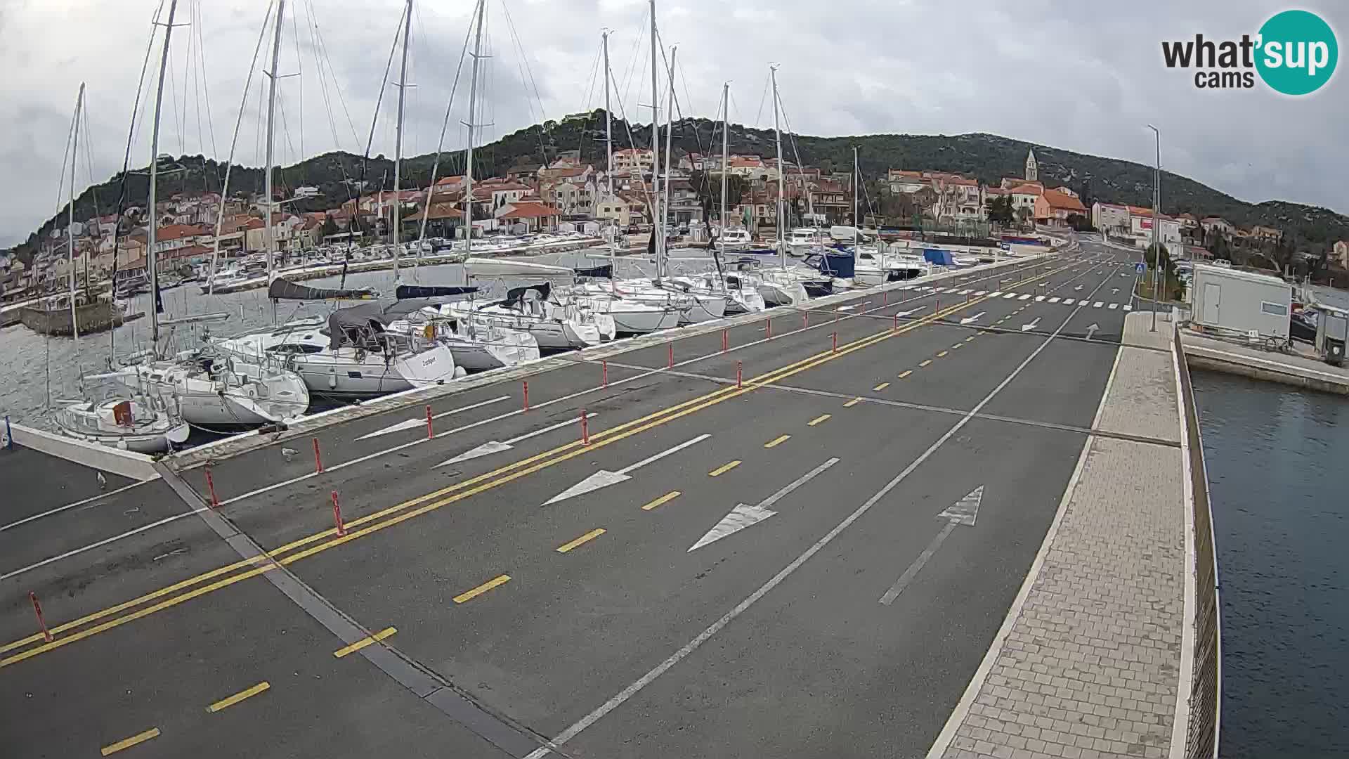 Dalmazia traghetto Tkon – webcam Croazia