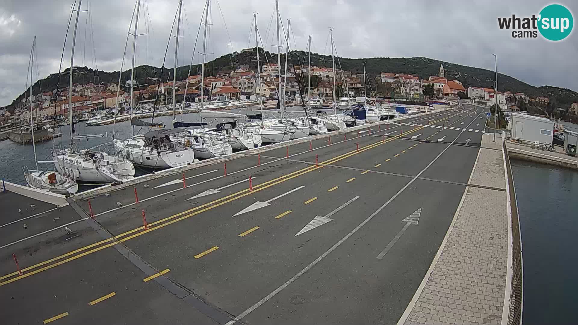 Trajekt Dalmacija Tkon – web kamere Hrvatska