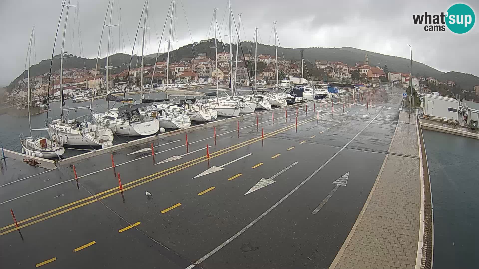 Dalmazia traghetto Tkon – webcam Croazia