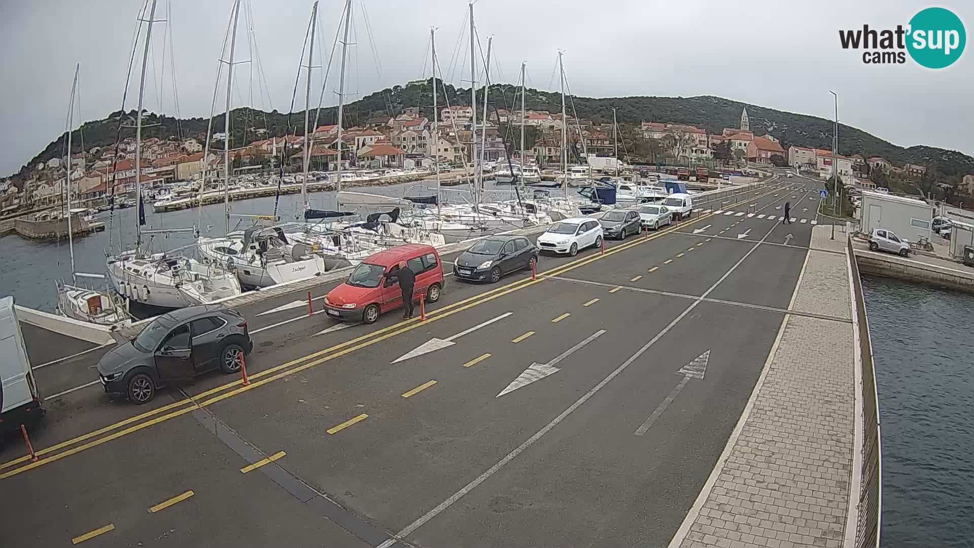 Dalmazia traghetto Tkon – webcam Croazia