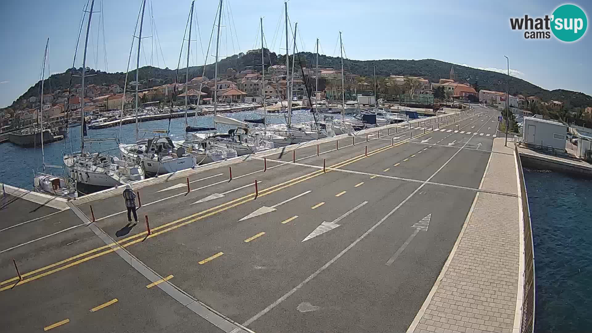 Dalmazia traghetto Tkon – webcam Croazia