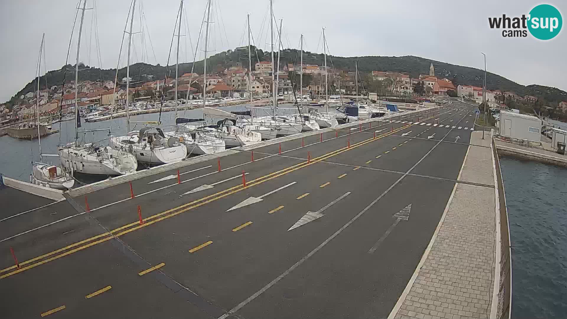 Dalmazia traghetto Tkon – webcam Croazia