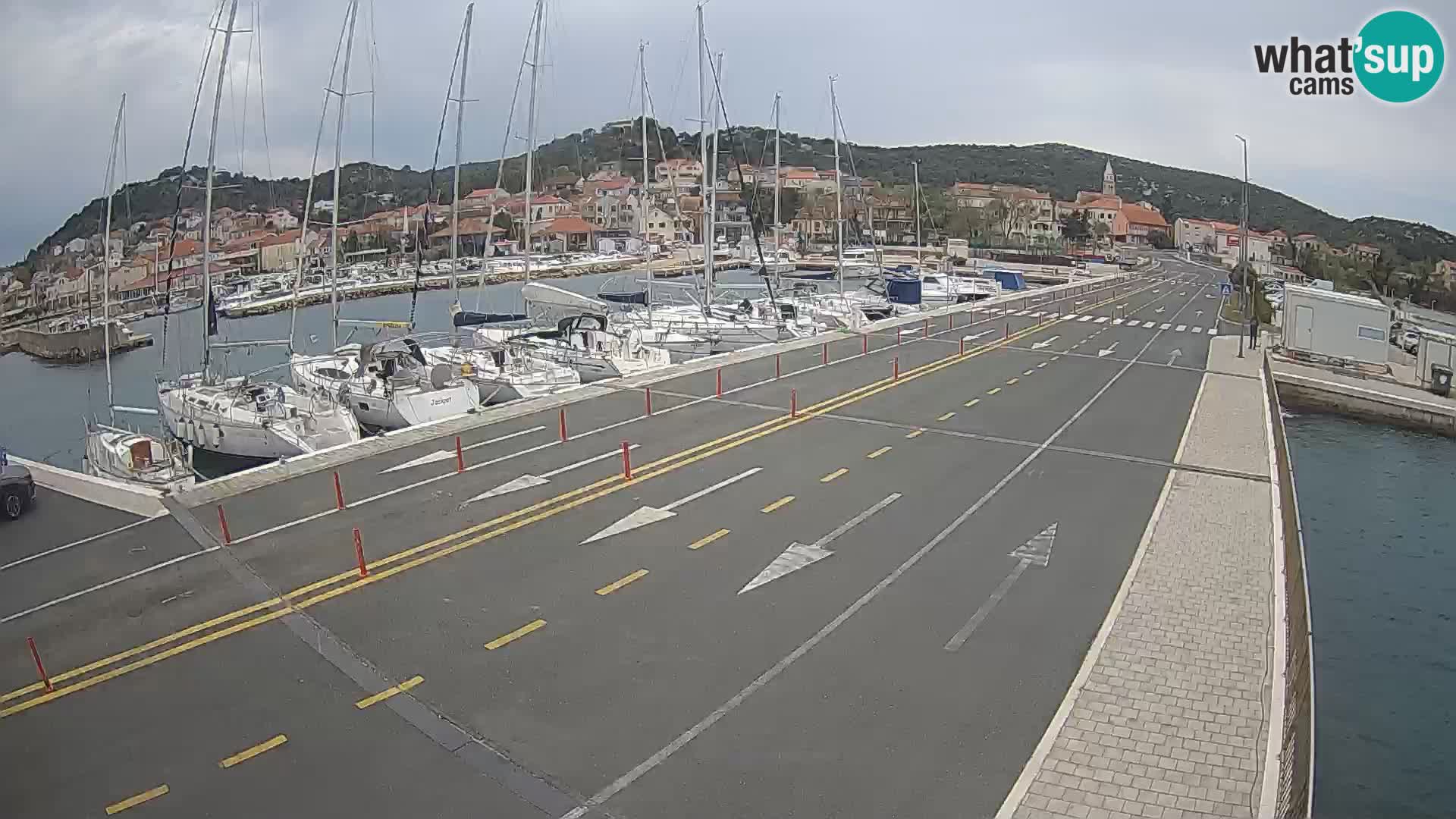 Dalmazia traghetto Tkon – webcam Croazia