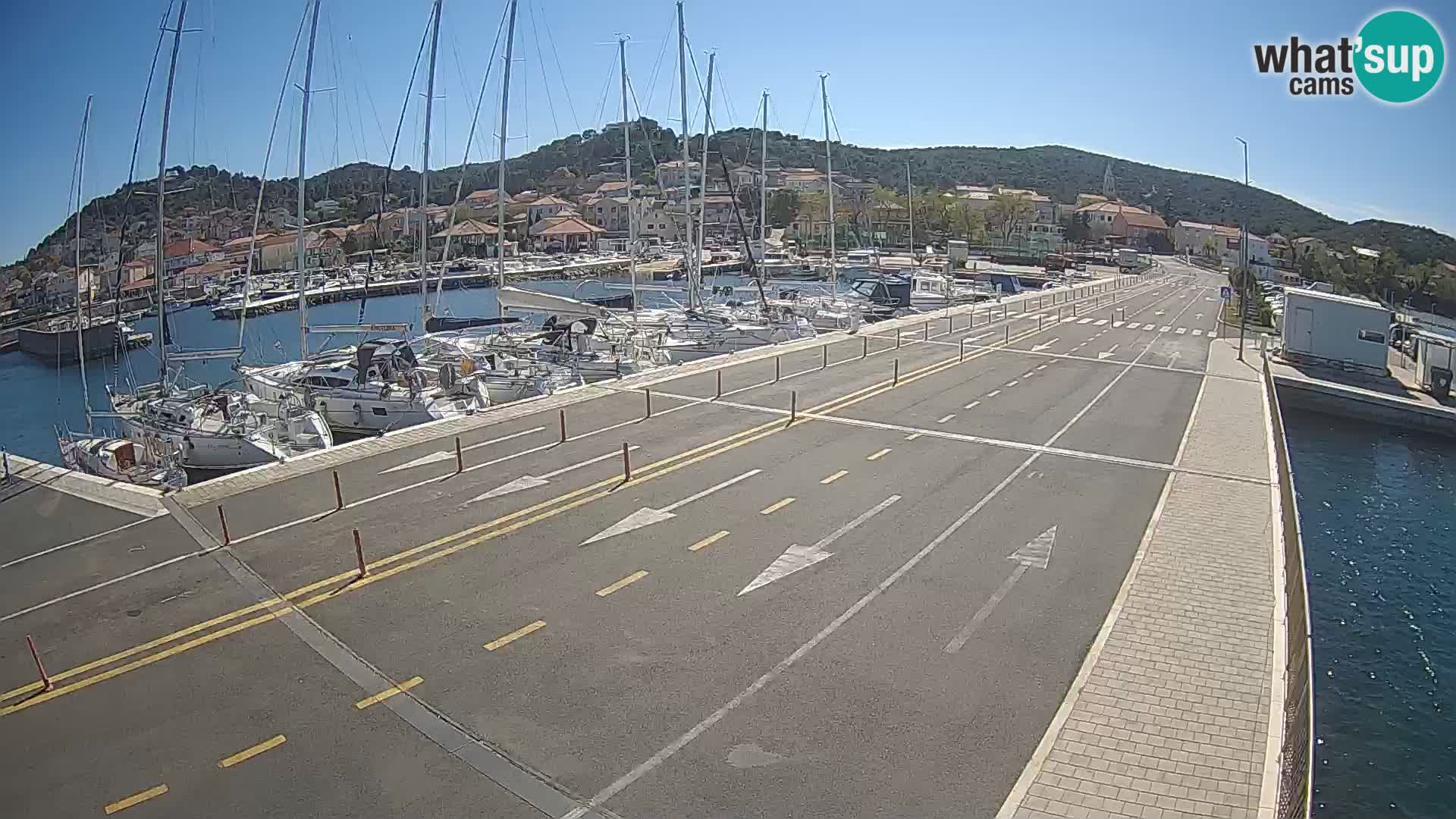 Dalmazia traghetto Tkon – webcam Croazia