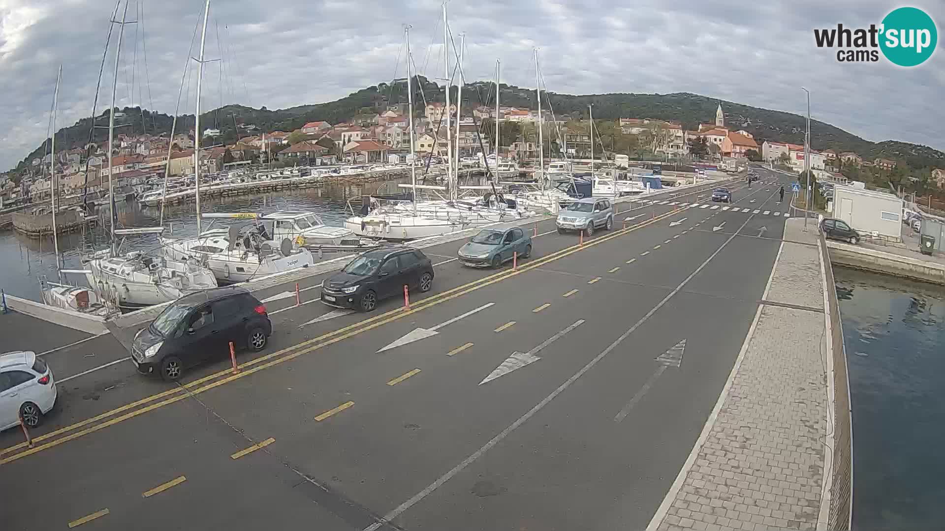 Dalmazia traghetto Tkon – webcam Croazia