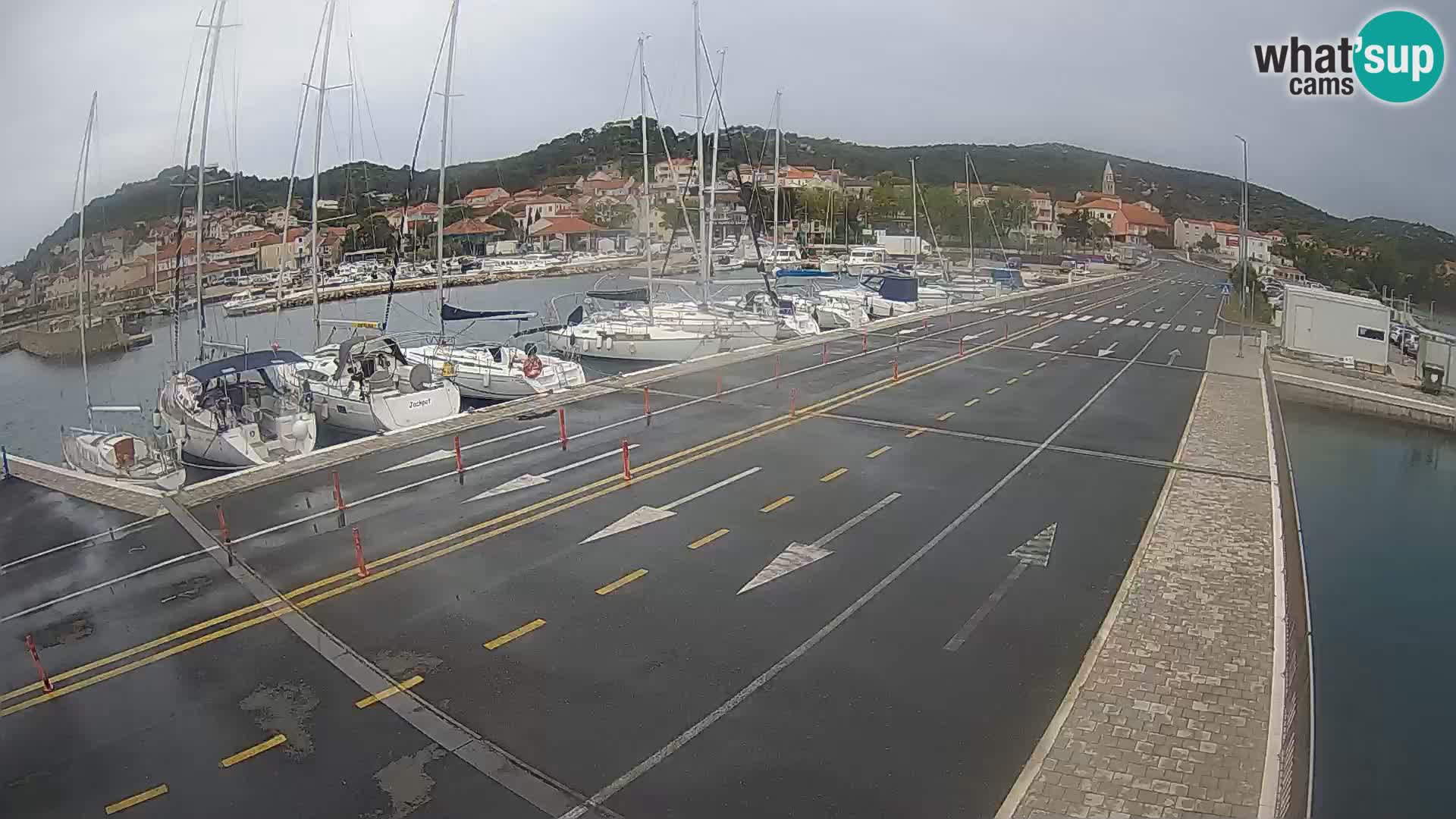 Dalmazia traghetto Tkon – webcam Croazia