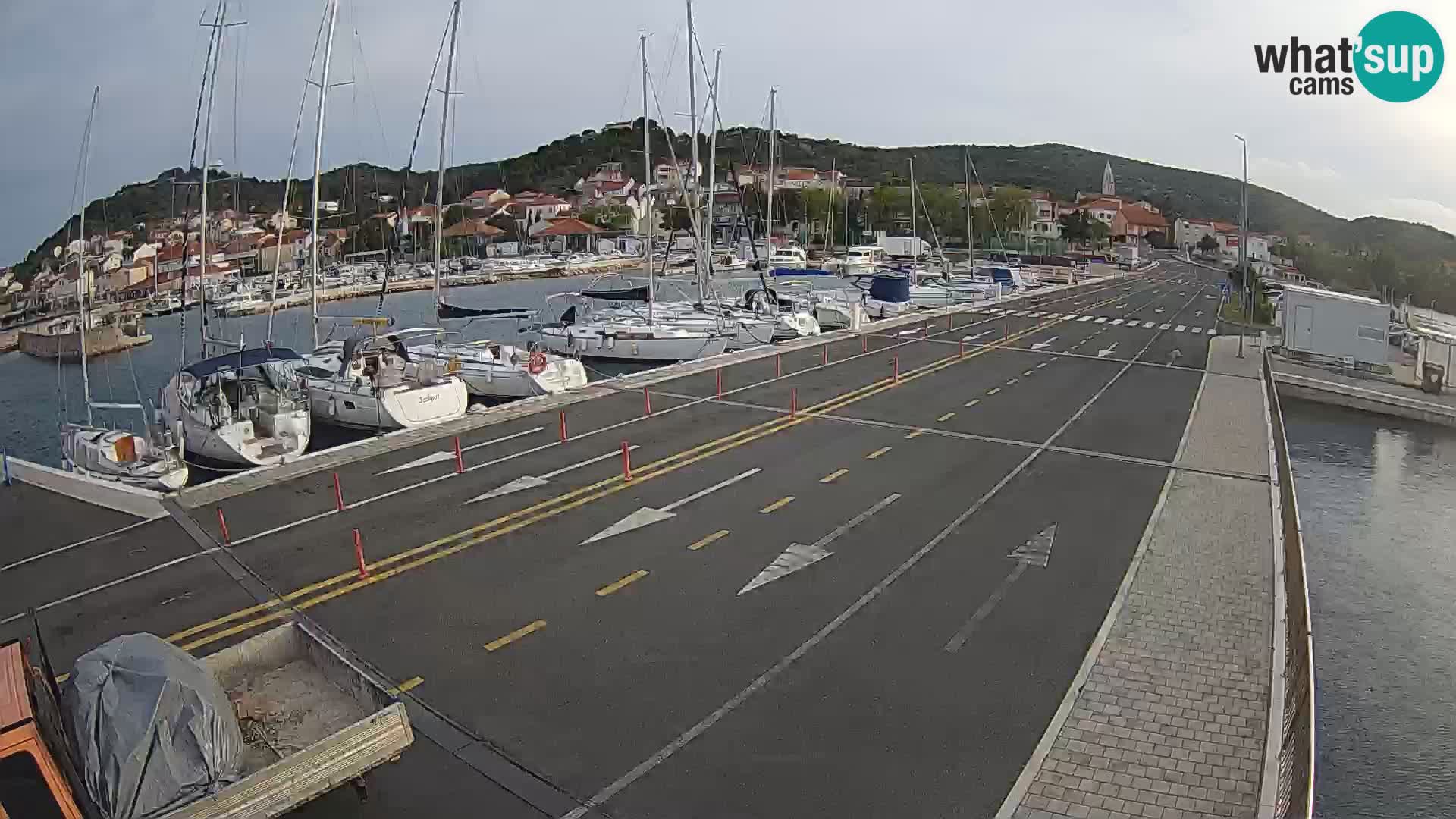 Dalmazia traghetto Tkon – webcam Croazia