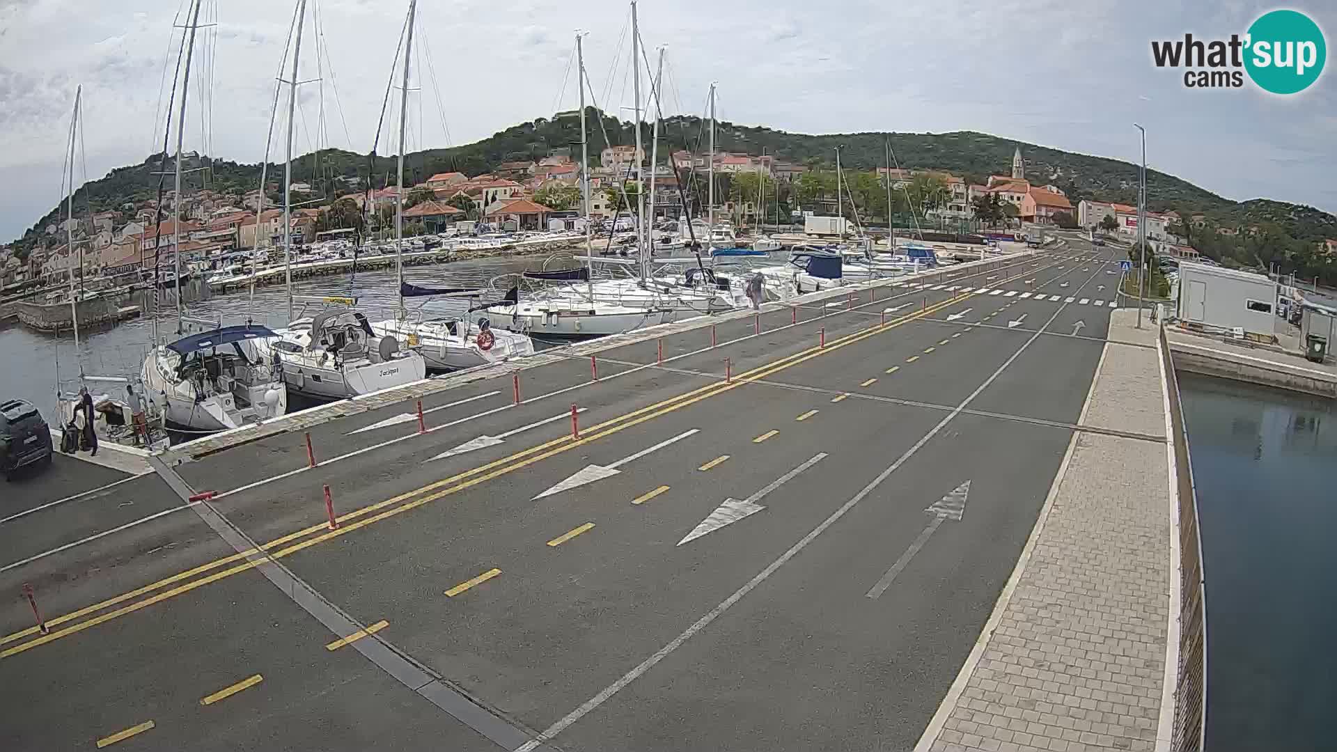 Dalmazia traghetto Tkon – webcam Croazia