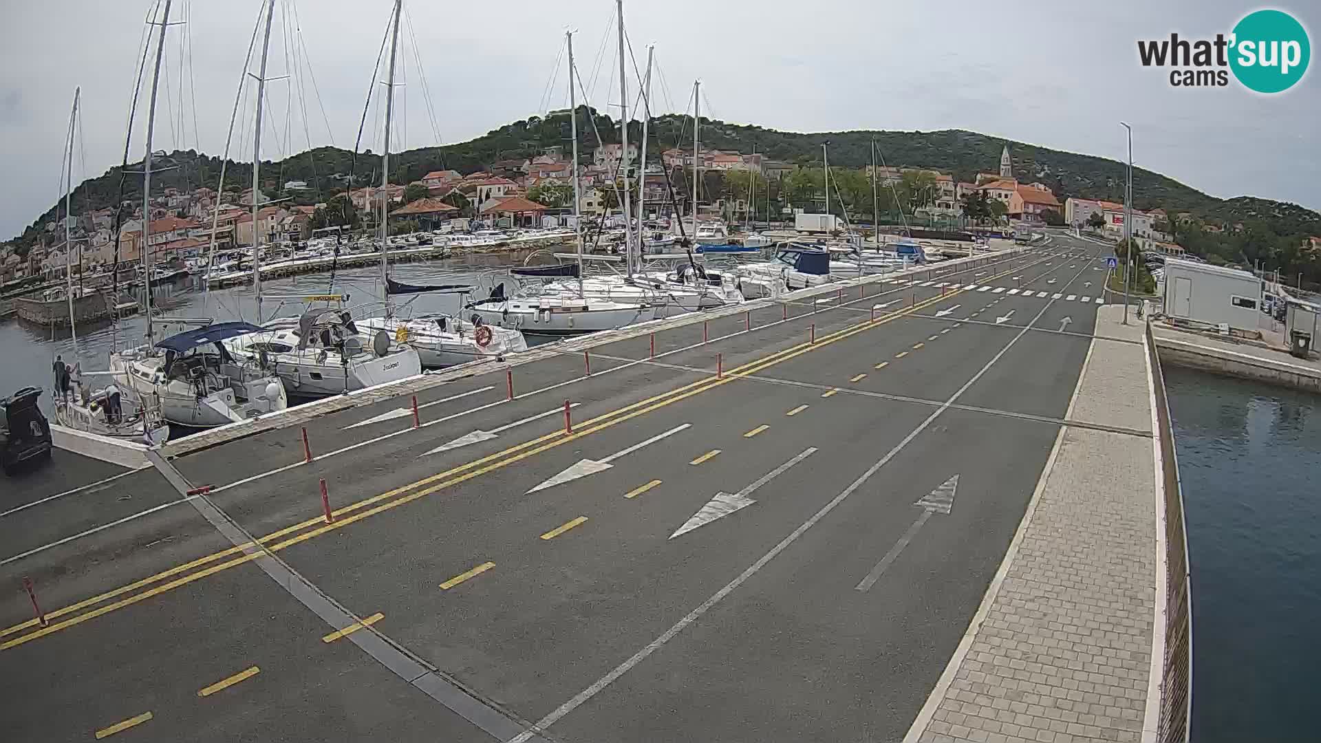 Dalmazia traghetto Tkon – webcam Croazia
