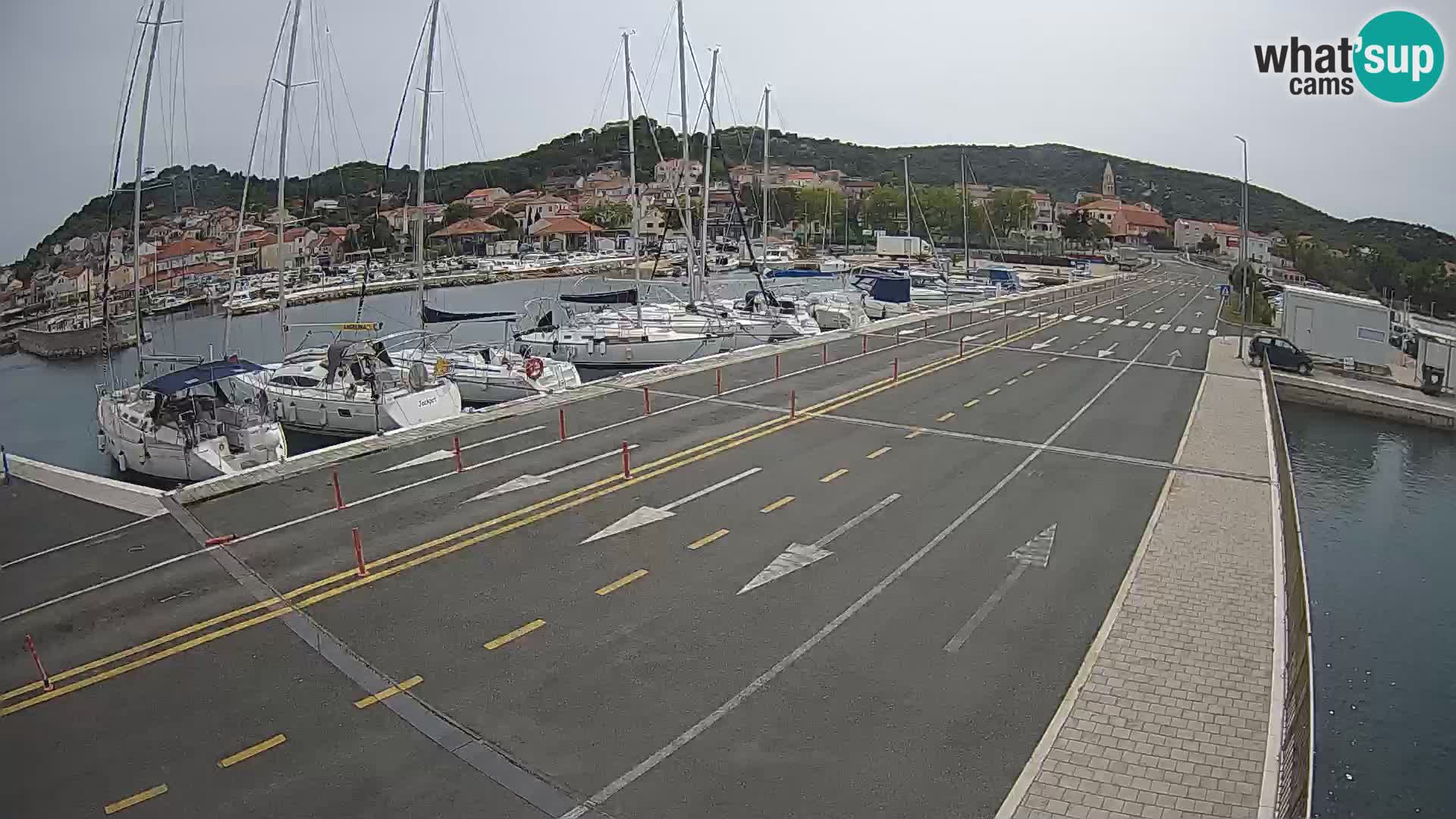 Dalmazia traghetto Tkon – webcam Croazia