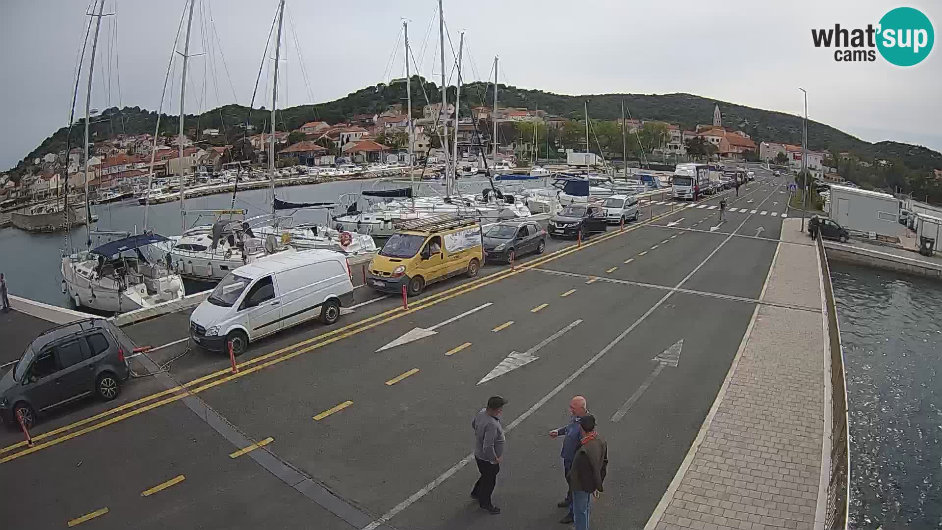 Dalmazia traghetto Tkon – webcam Croazia