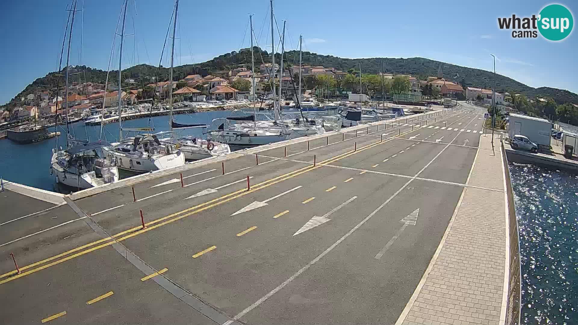 Dalmazia traghetto Tkon – webcam Croazia