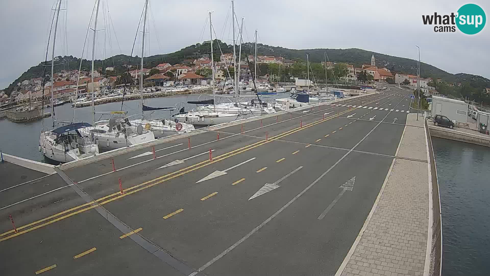 Dalmazia traghetto Tkon – webcam Croazia